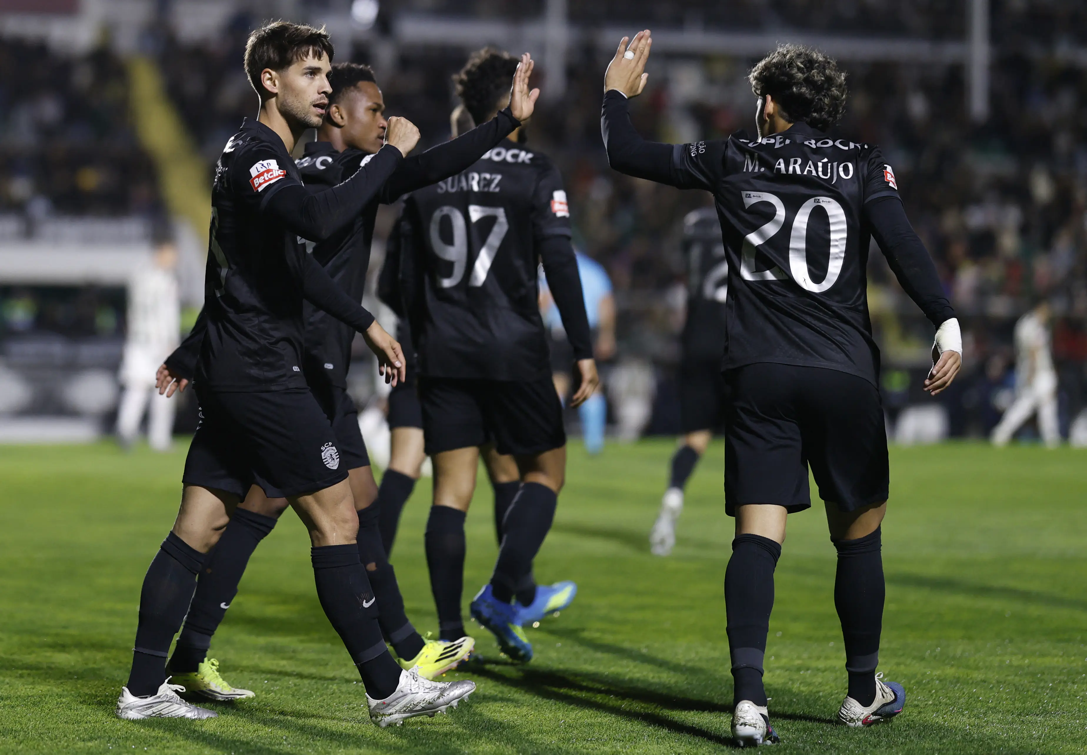 Imagem ilustrativa para a matéria