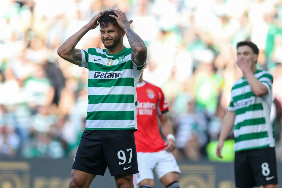 Imagem ilustrativa para a matéria