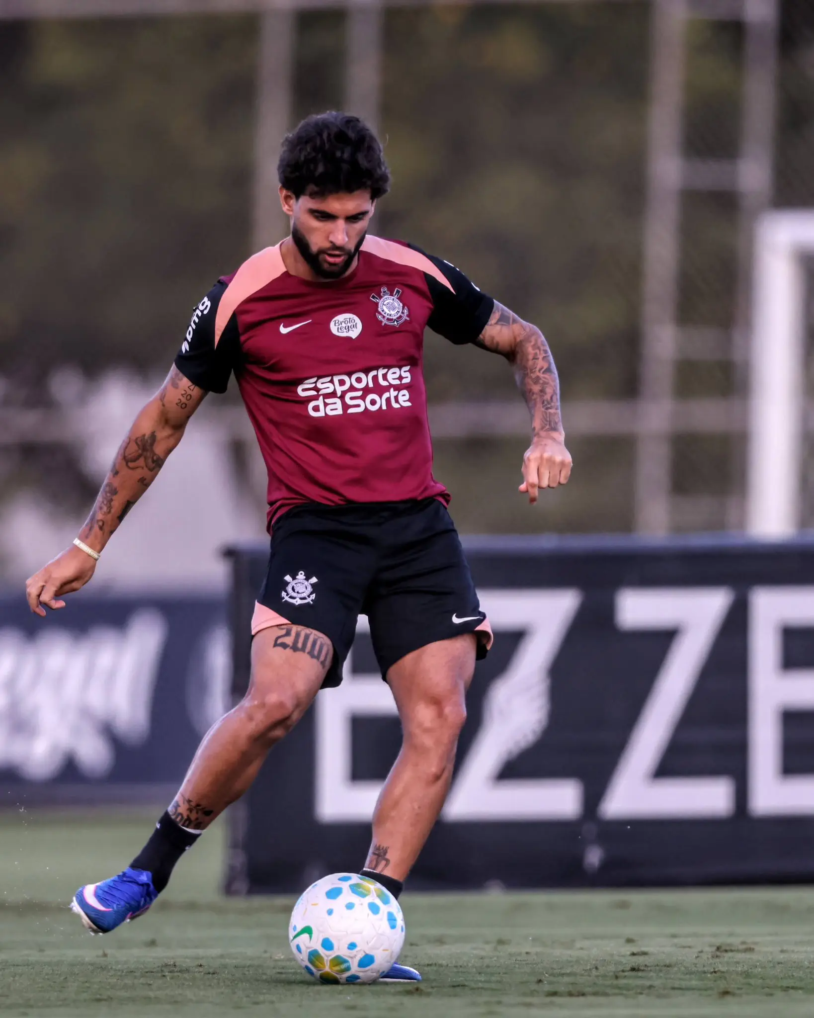 Imagem ilustrativa para a matéria