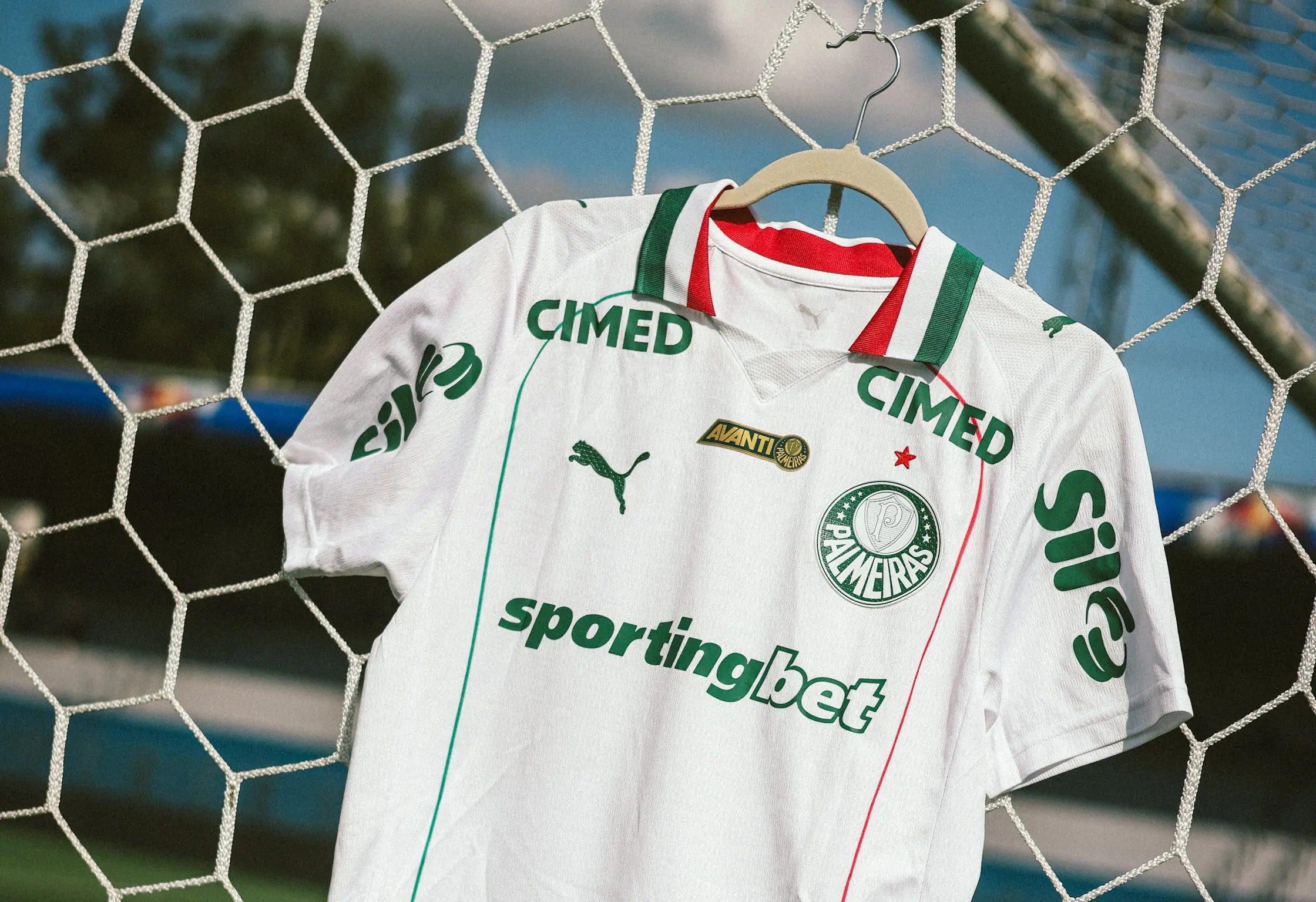 Imagem ilustrativa para a matéria