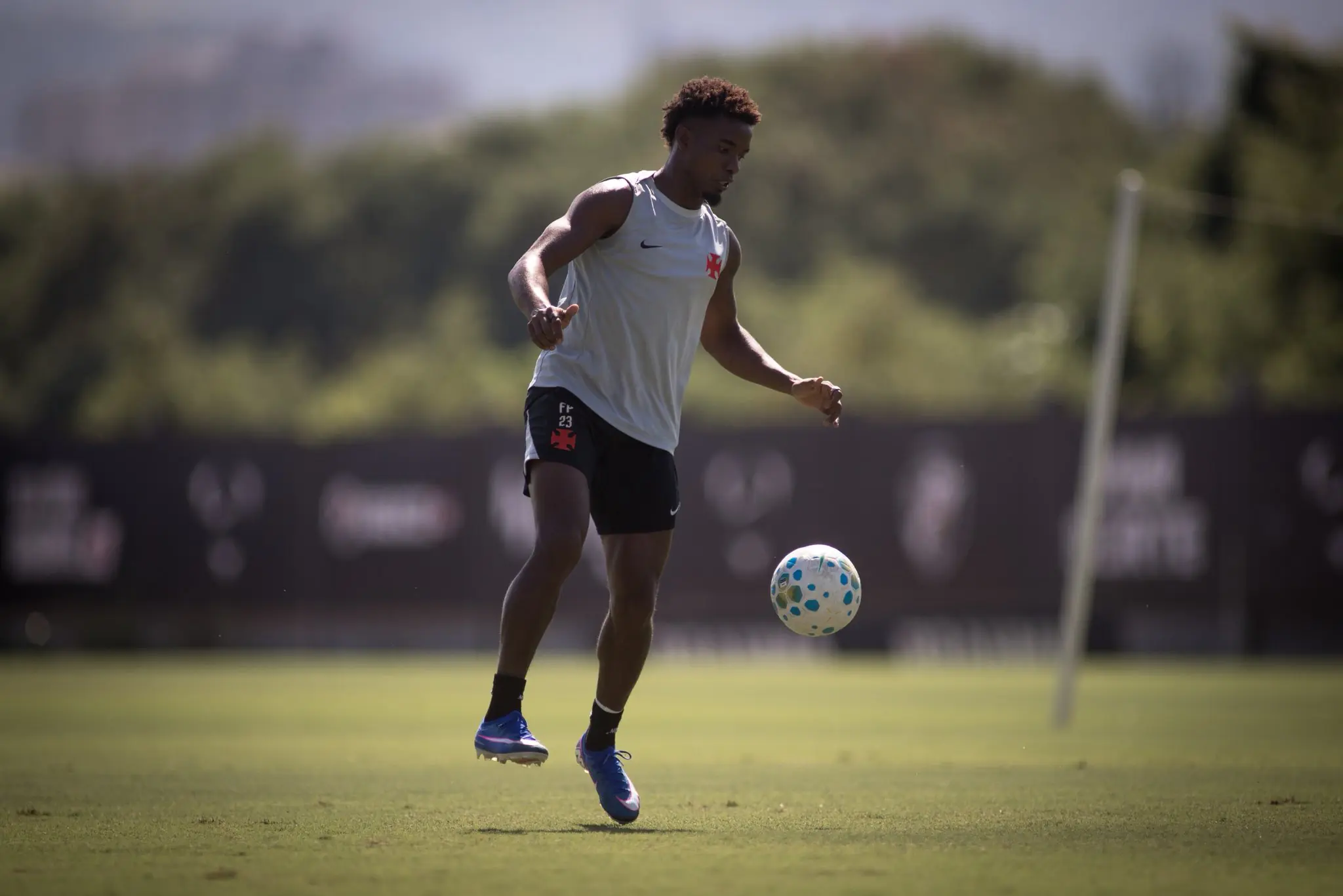 Imagem ilustrativa para a matéria