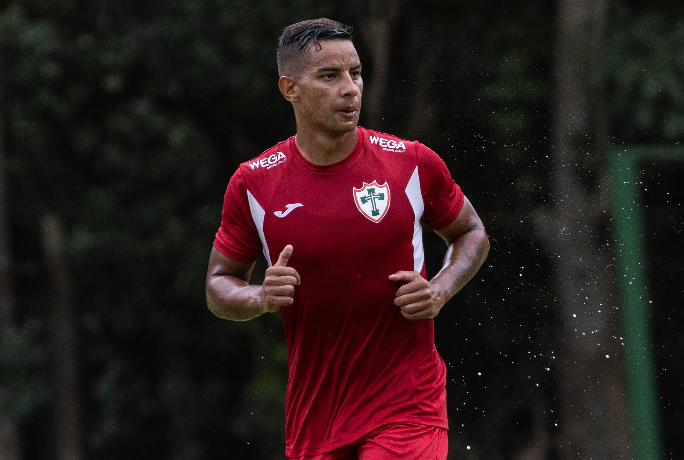 Imagem ilustrativa para a matéria