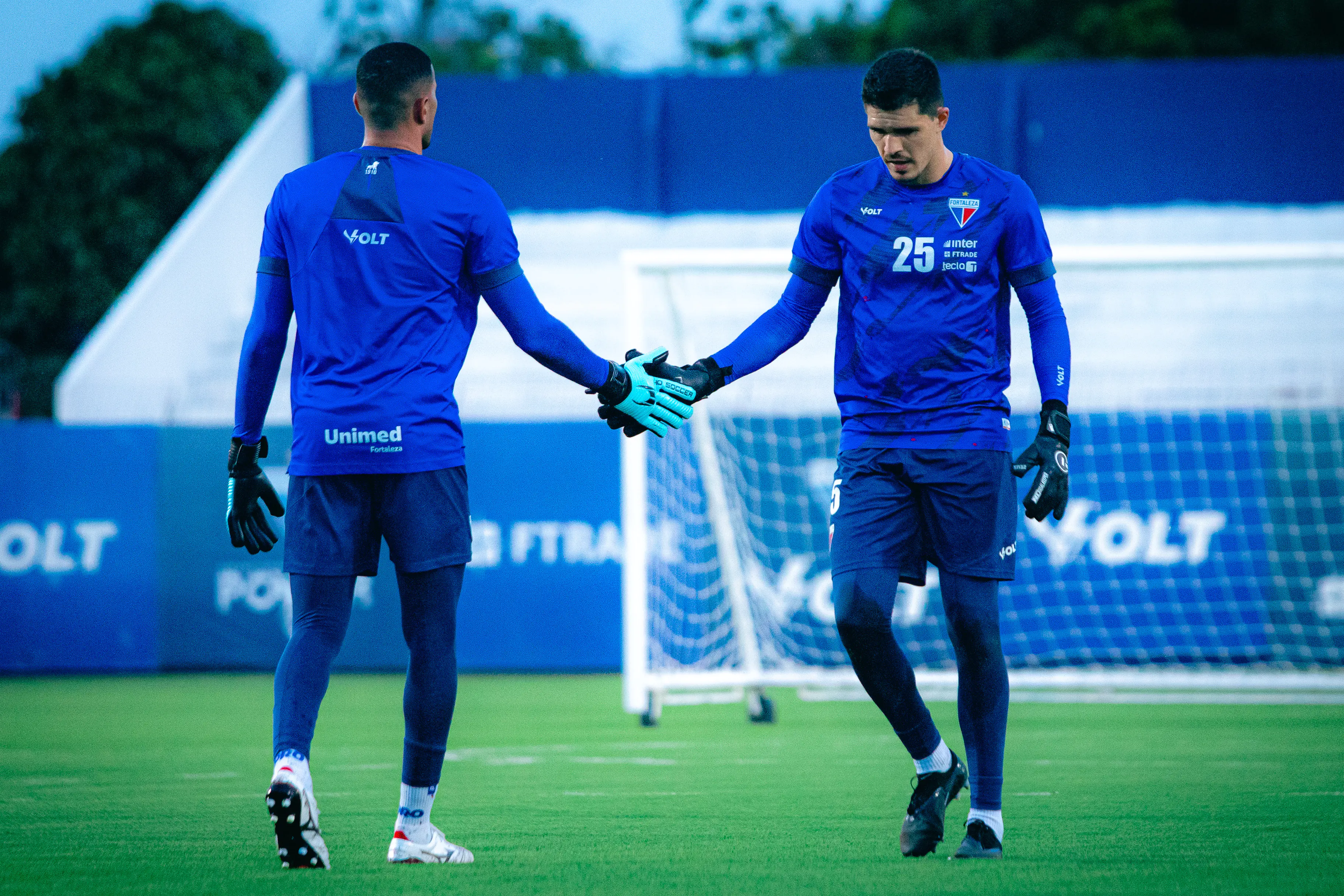 Imagem ilustrativa para a matéria