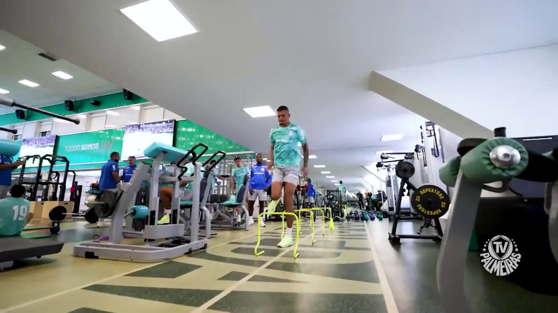 Imagem ilustrativa para a matéria