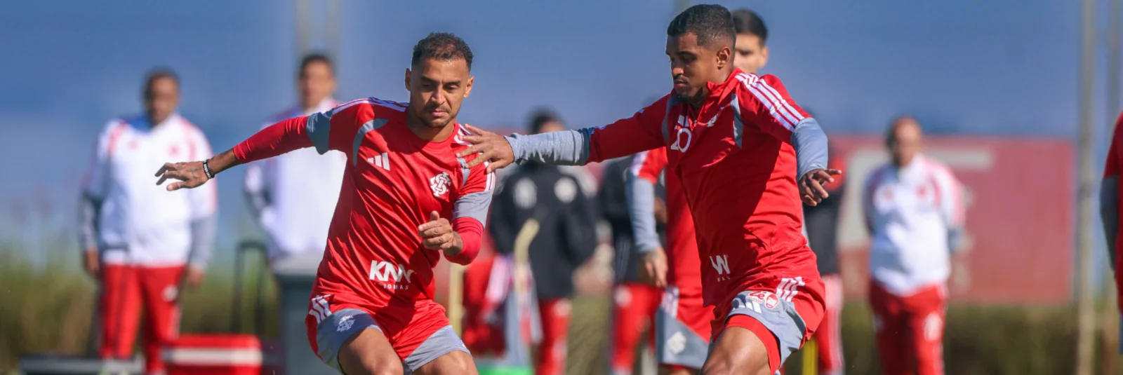 Imagem ilustrativa para a matéria