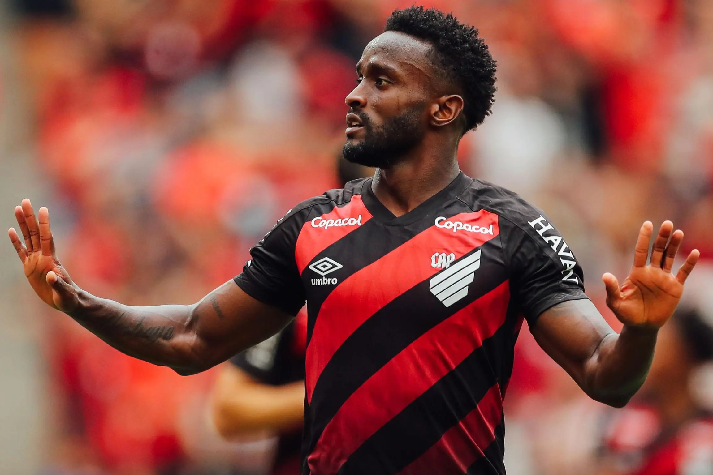 Imagem ilustrativa para a matéria