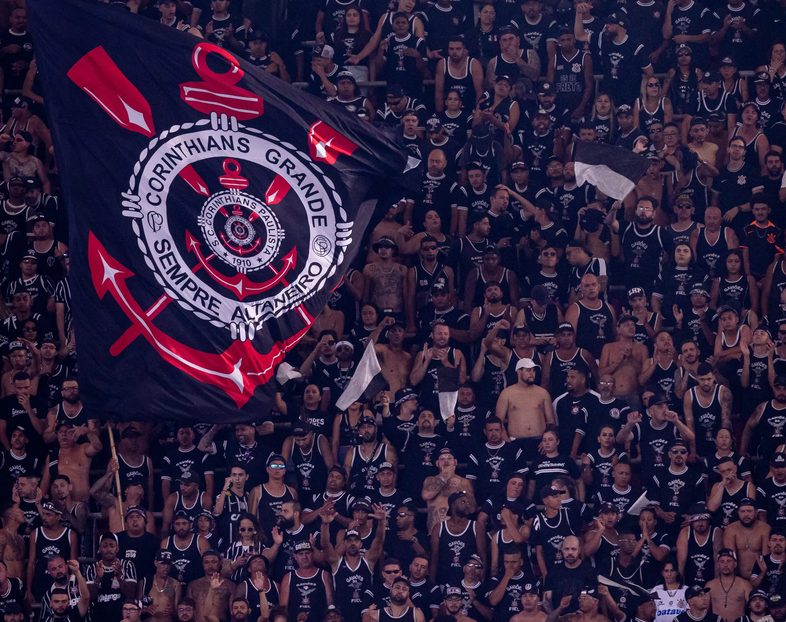 Imagem ilustrativa para a matéria