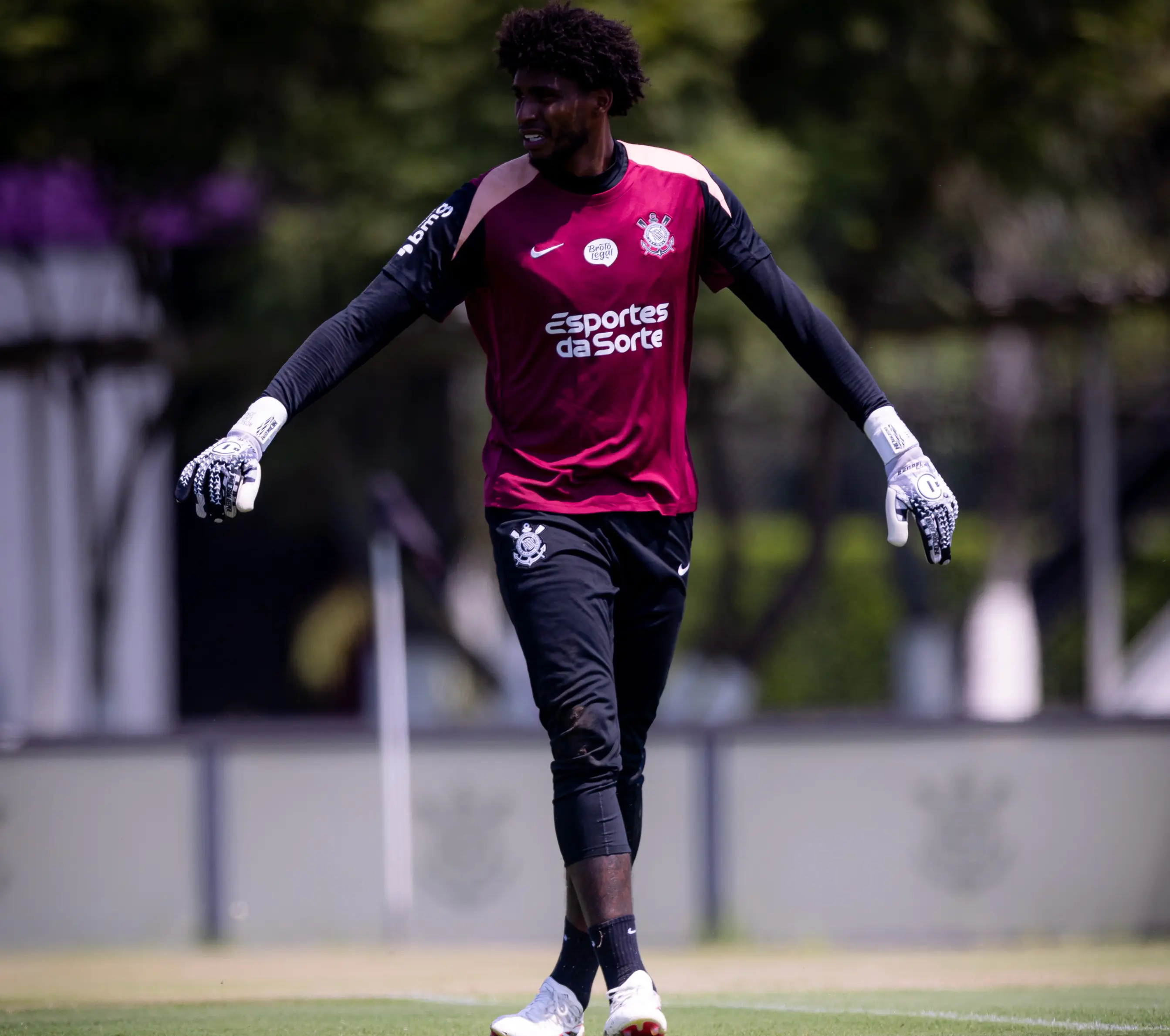 Imagem ilustrativa para a matéria