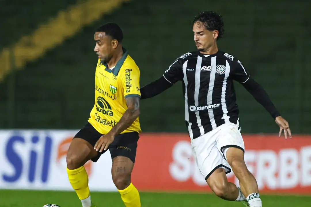 Imagem ilustrativa para a matéria