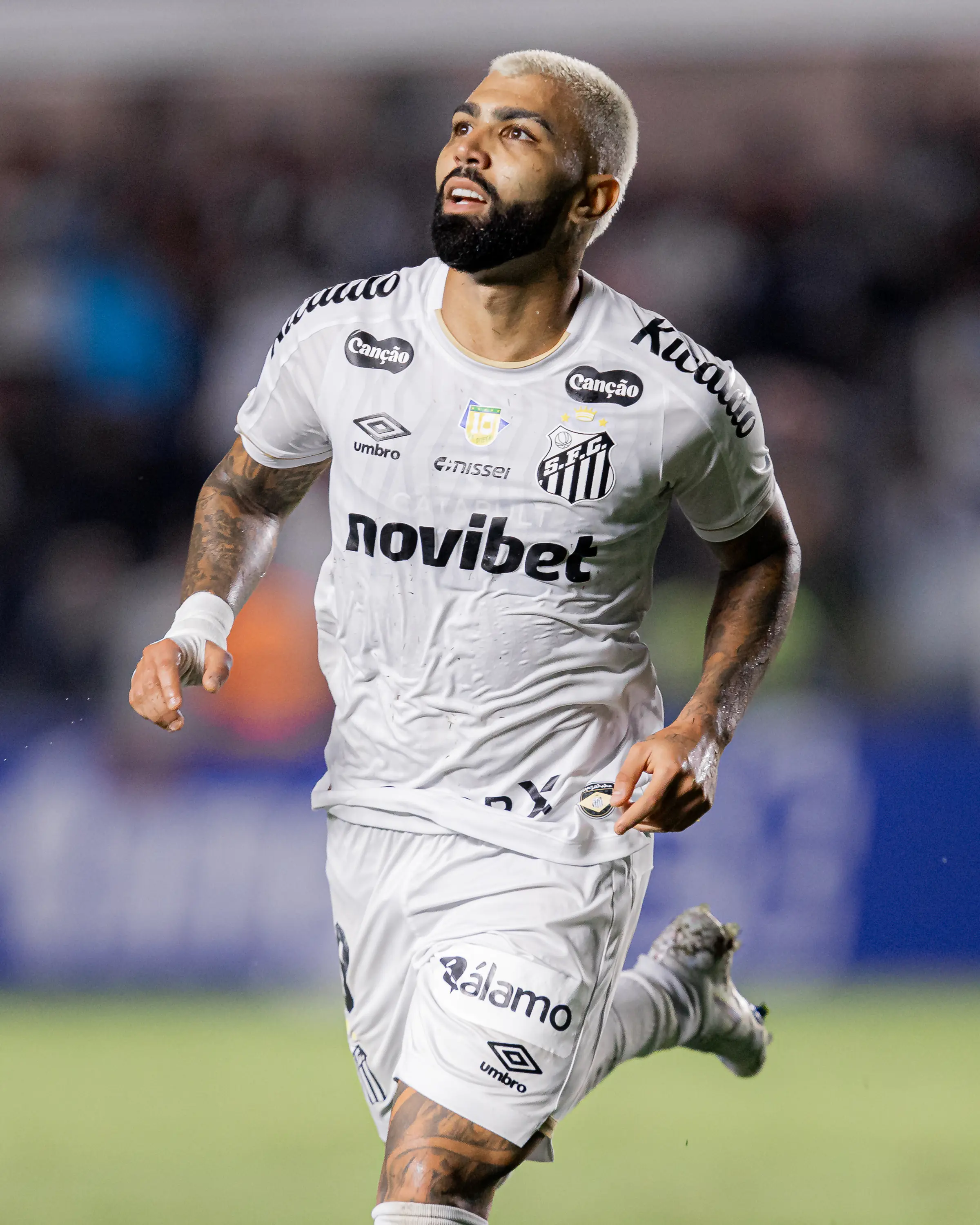 Imagem ilustrativa para a matéria