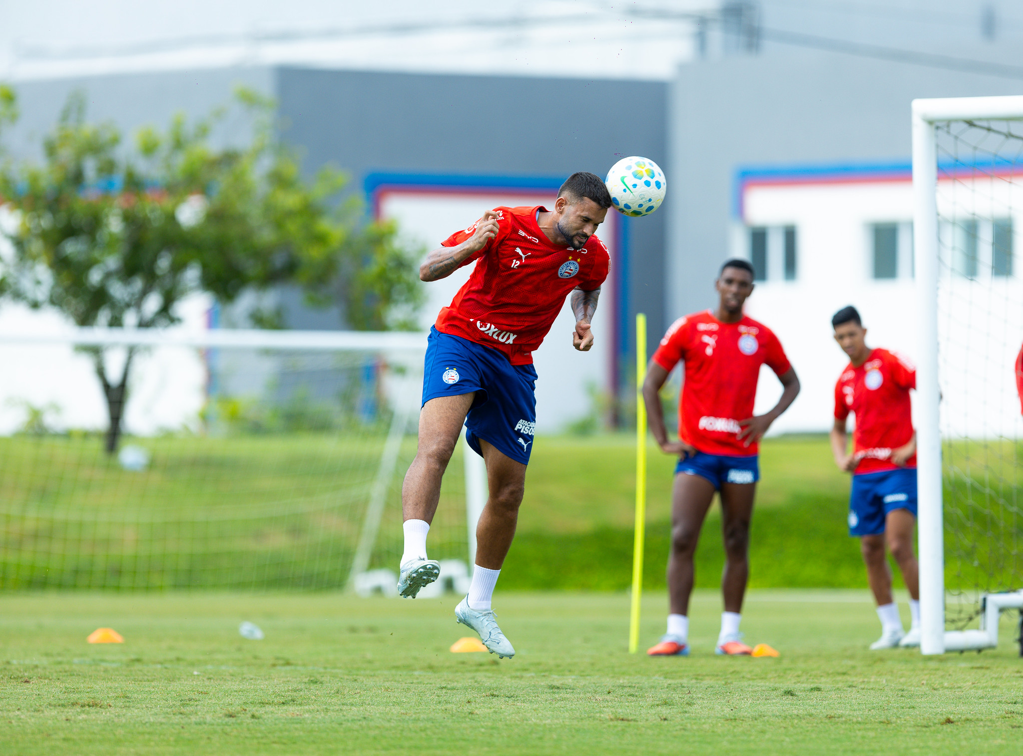 Em busca de reação, Bahia fecha preparação para pegar o Botafogo; veja provável escalação