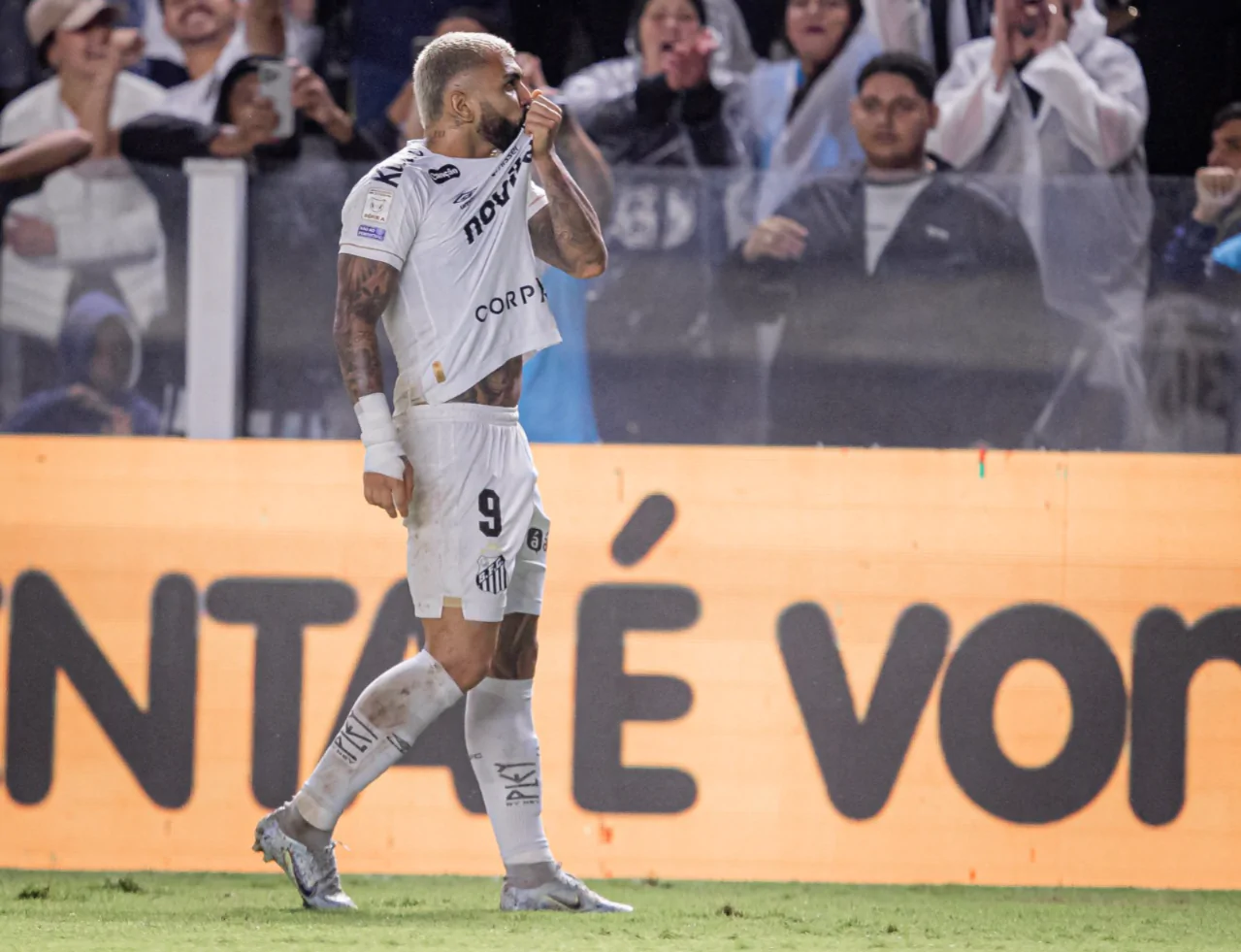 Imagem ilustrativa para a matéria