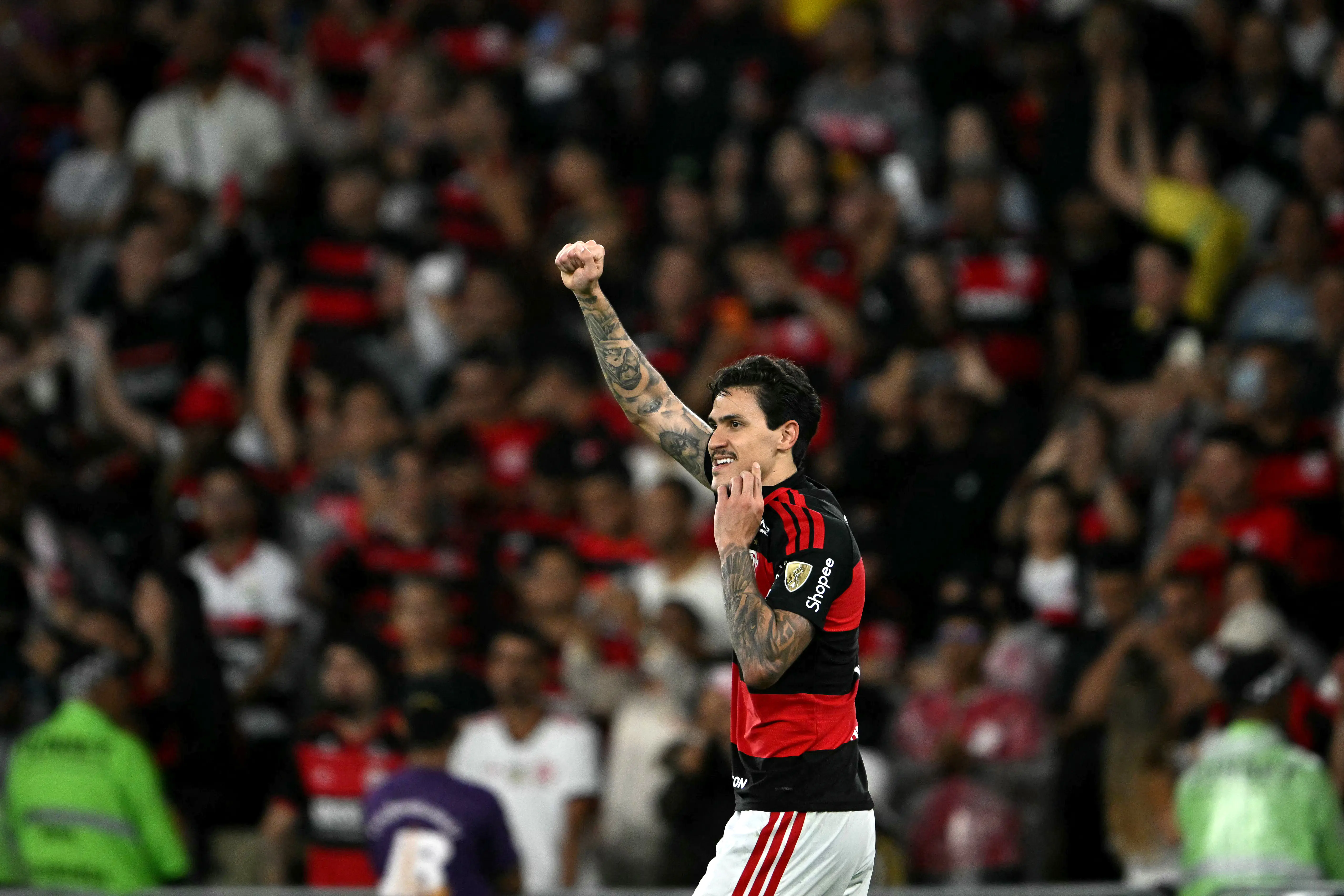 Imagem ilustrativa para a matéria