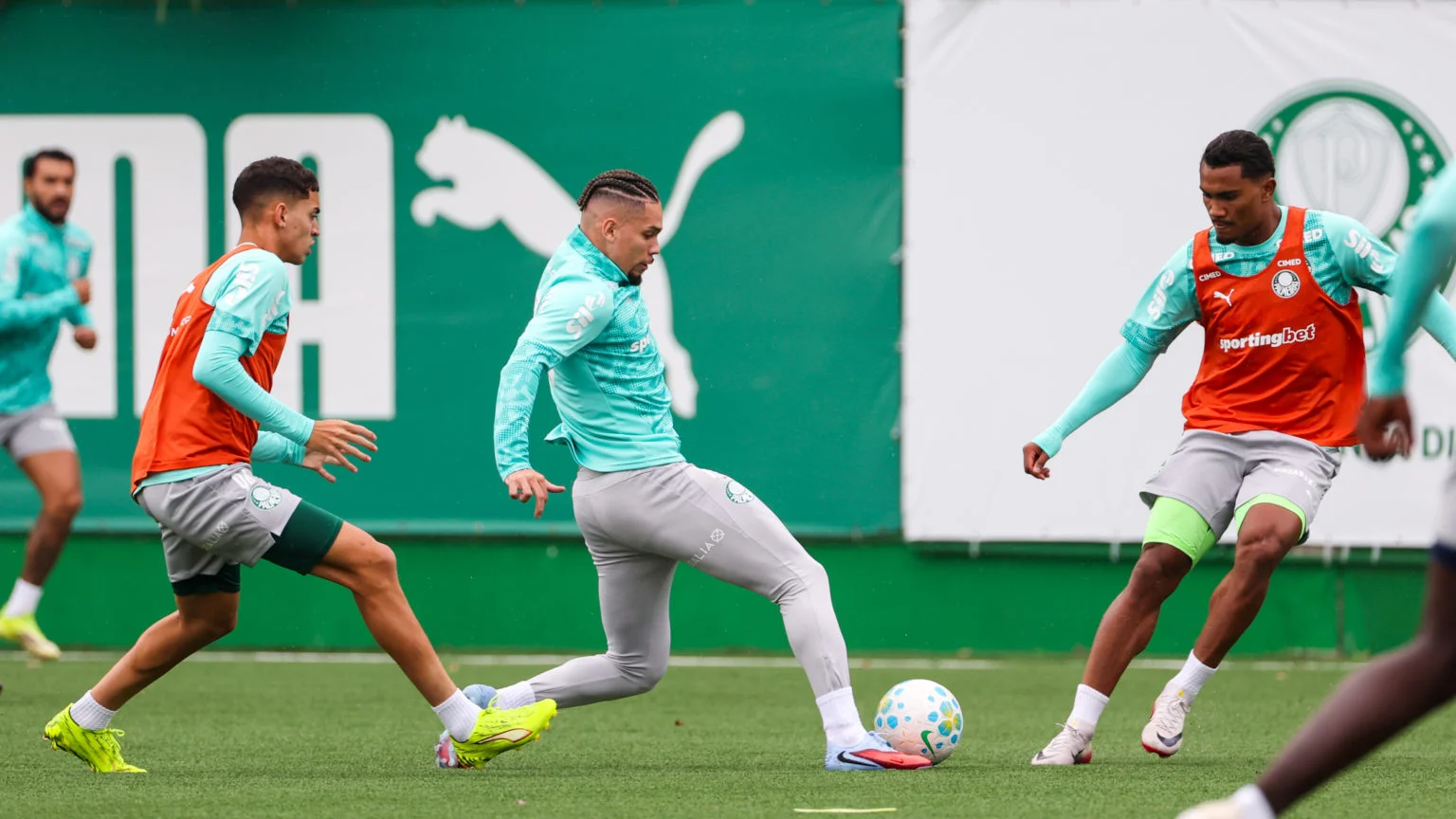 Palmeiras Intensifica Preparação Tática para Enfrentamento Crucial contra o Cruzeiro no Brasileirão