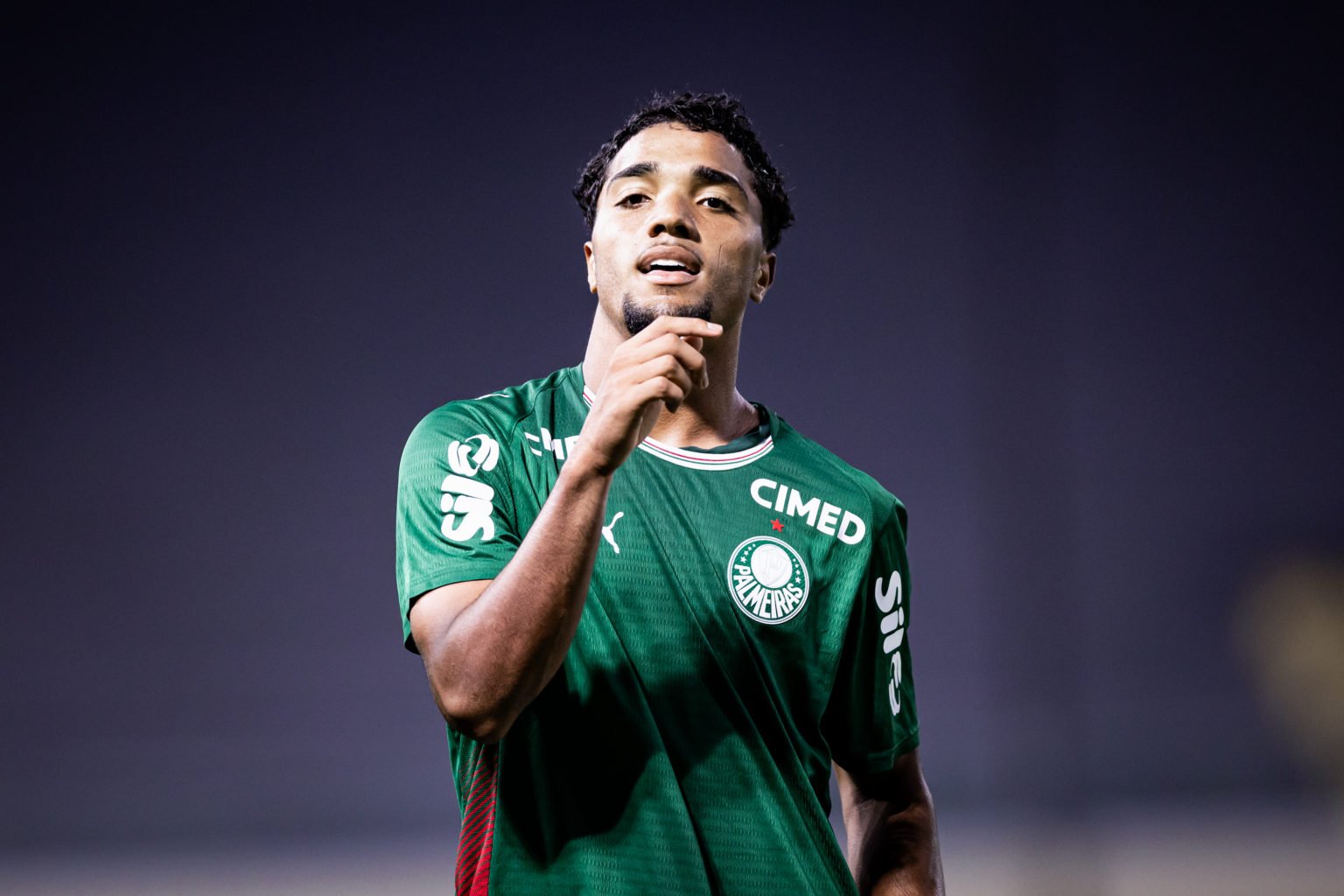 Palmeiras e Avaí se enfrentam no Brasileirão sub-20: escalações e transmissão