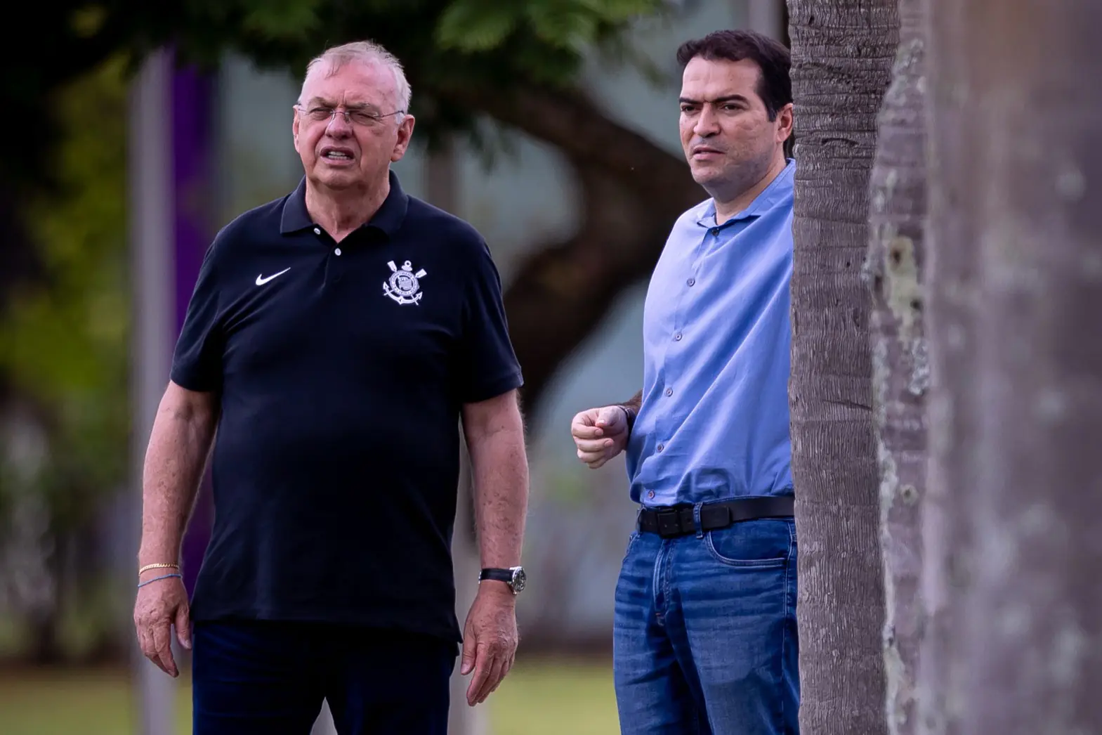 Imagem ilustrativa para a matéria