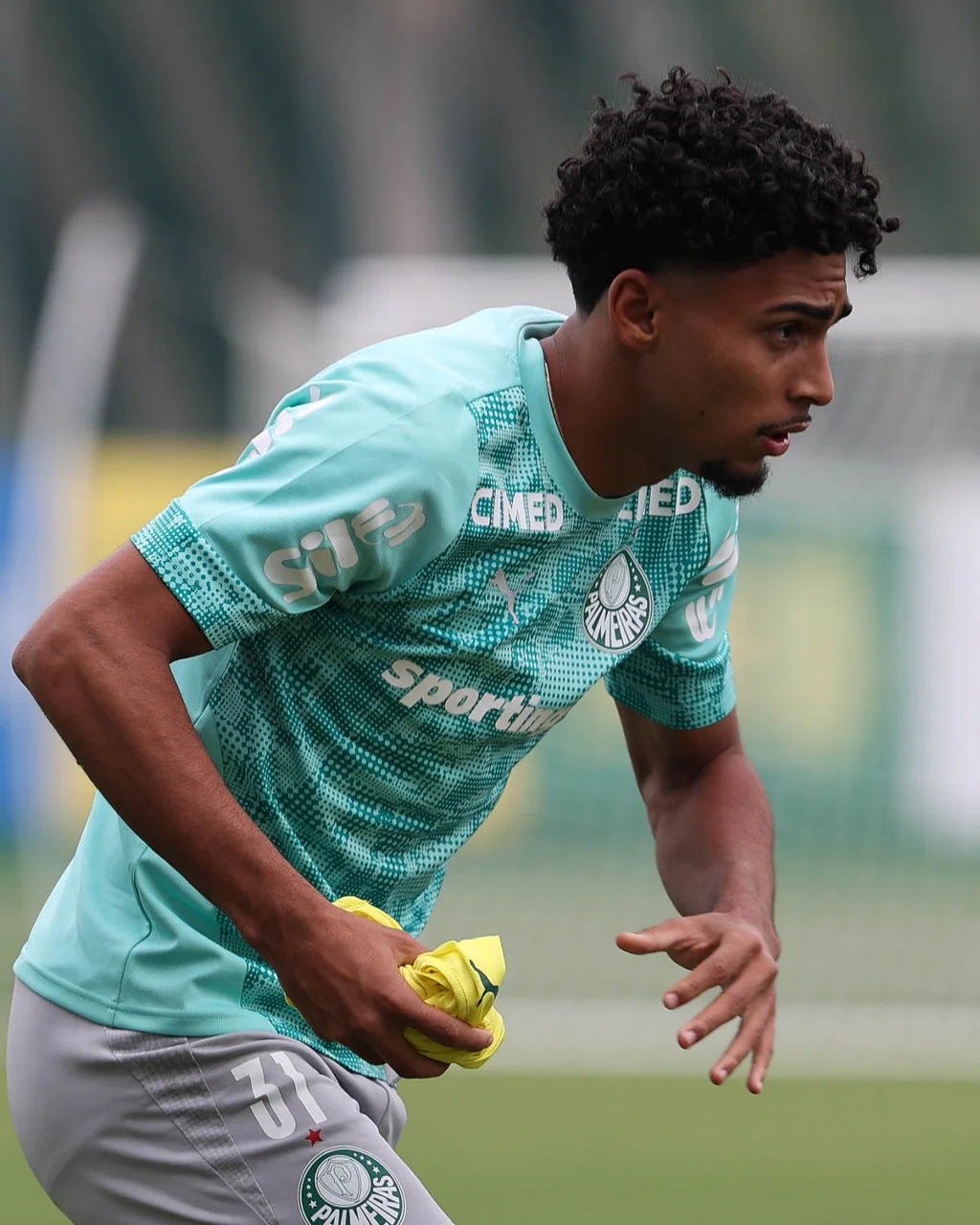 Palmeiras