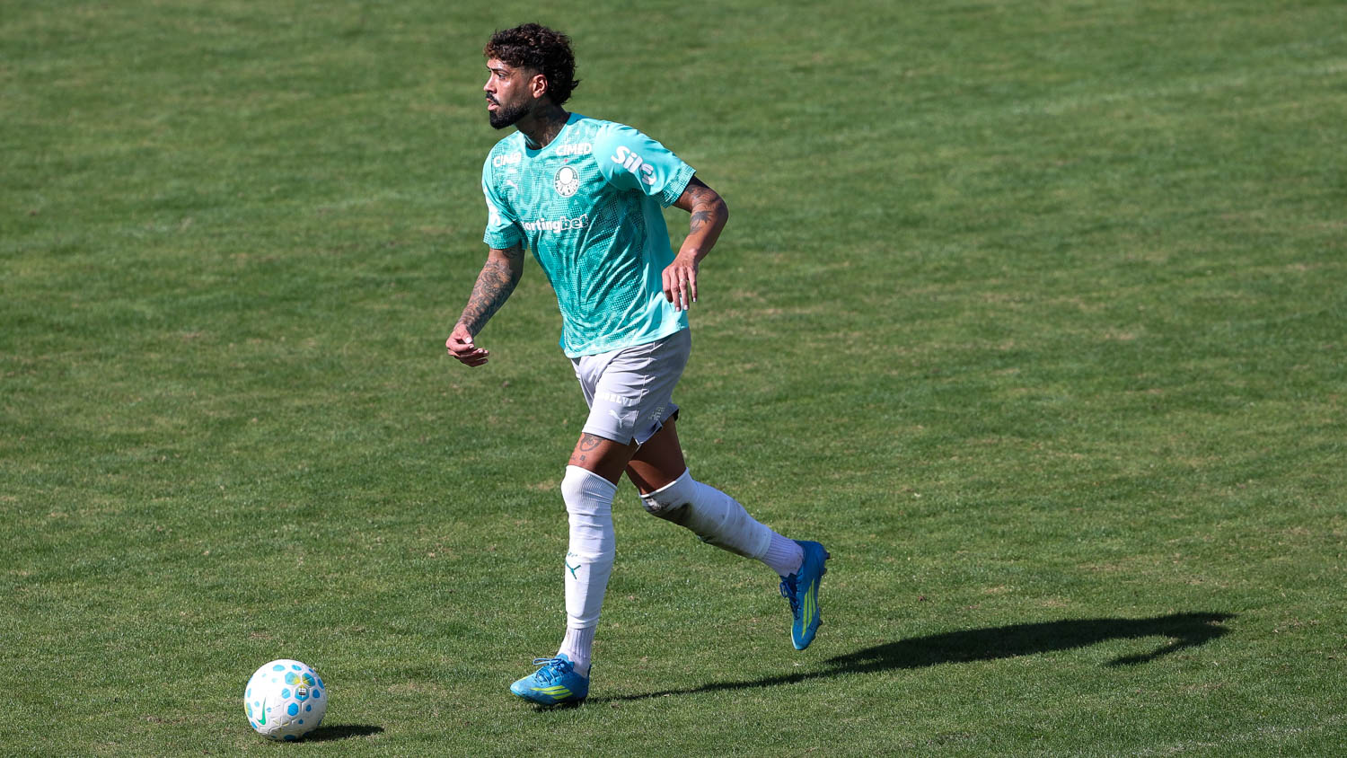 Palmeiras tem seis opções para a zaga no segundo semestre