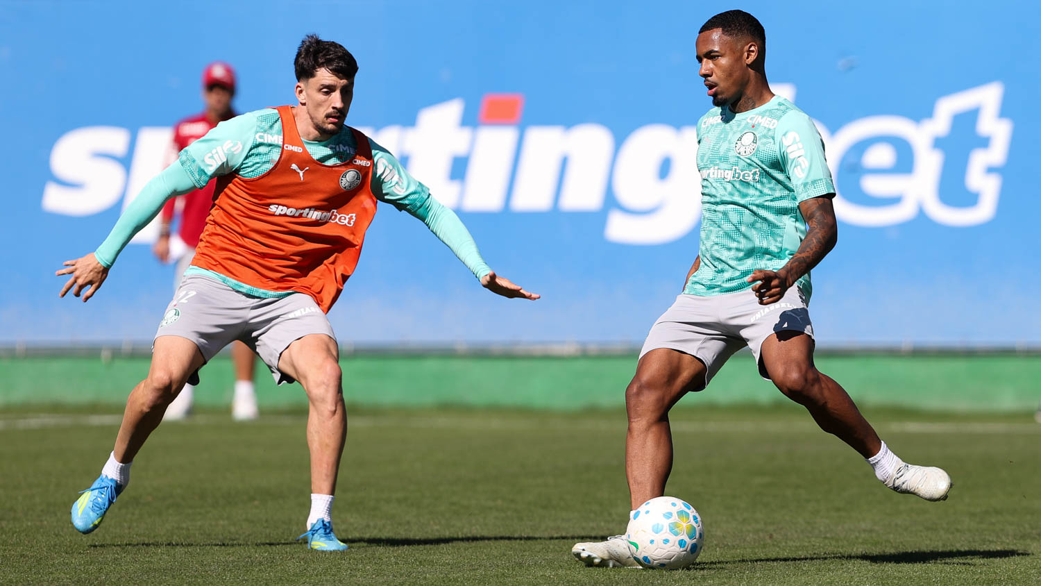 Veja fotos do treino do Palmeiras neste sábado