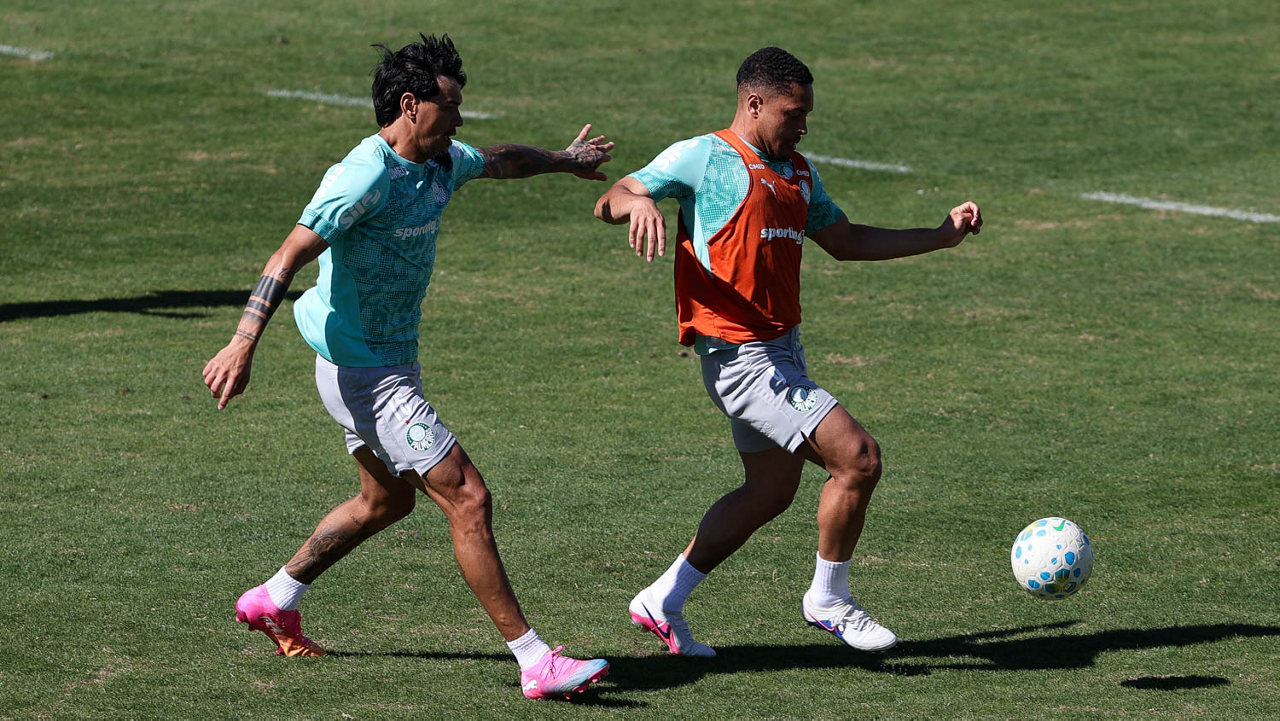 Palmeiras faz treino tático e prepara reforço caseiro para duelo contra o Coritiba