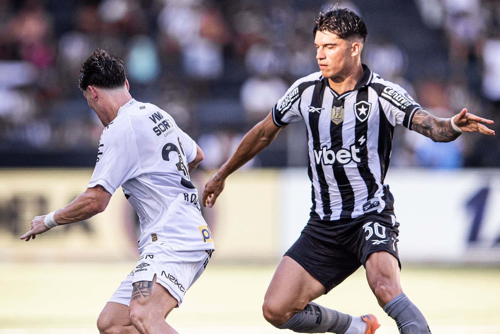 Botafogo x Santos pelo Brasileirão: onde assistir ao vivo, histórico e prováveis escalações
