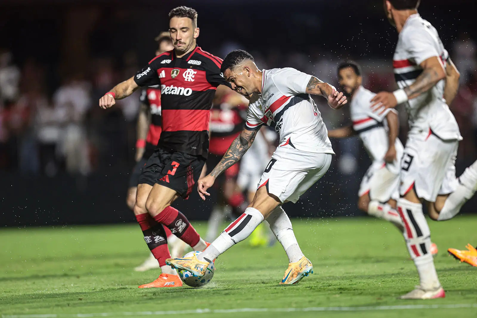 Imagem ilustrativa para a matéria