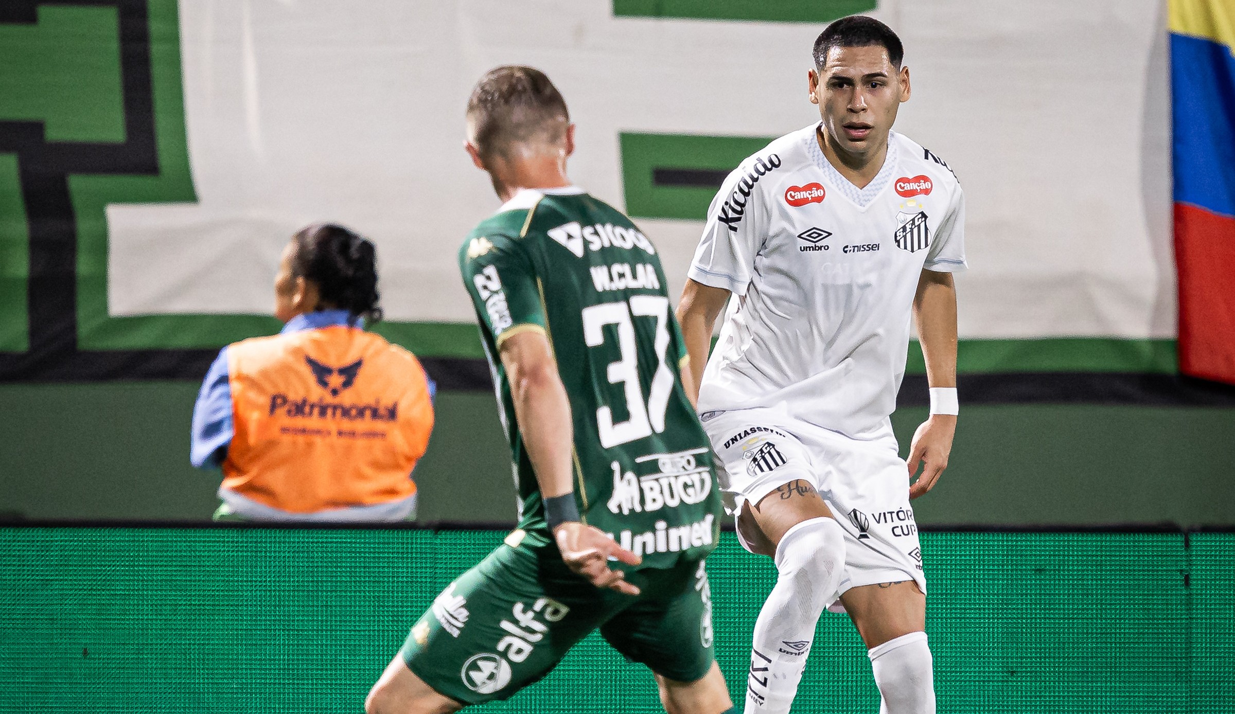 Santos x Chapecoense pelo Brasileirão: onde assistir ao vivo, estatísticas e prováveis escalações