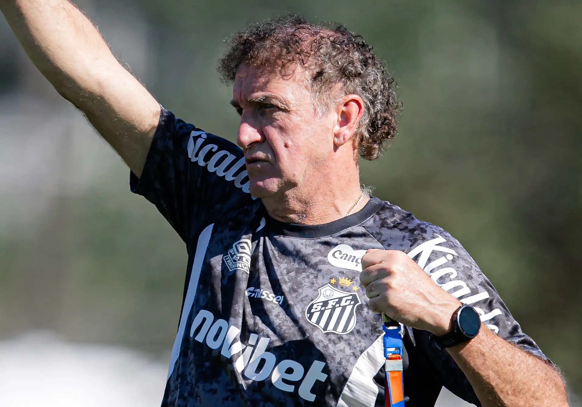Imagem ilustrativa para a matéria