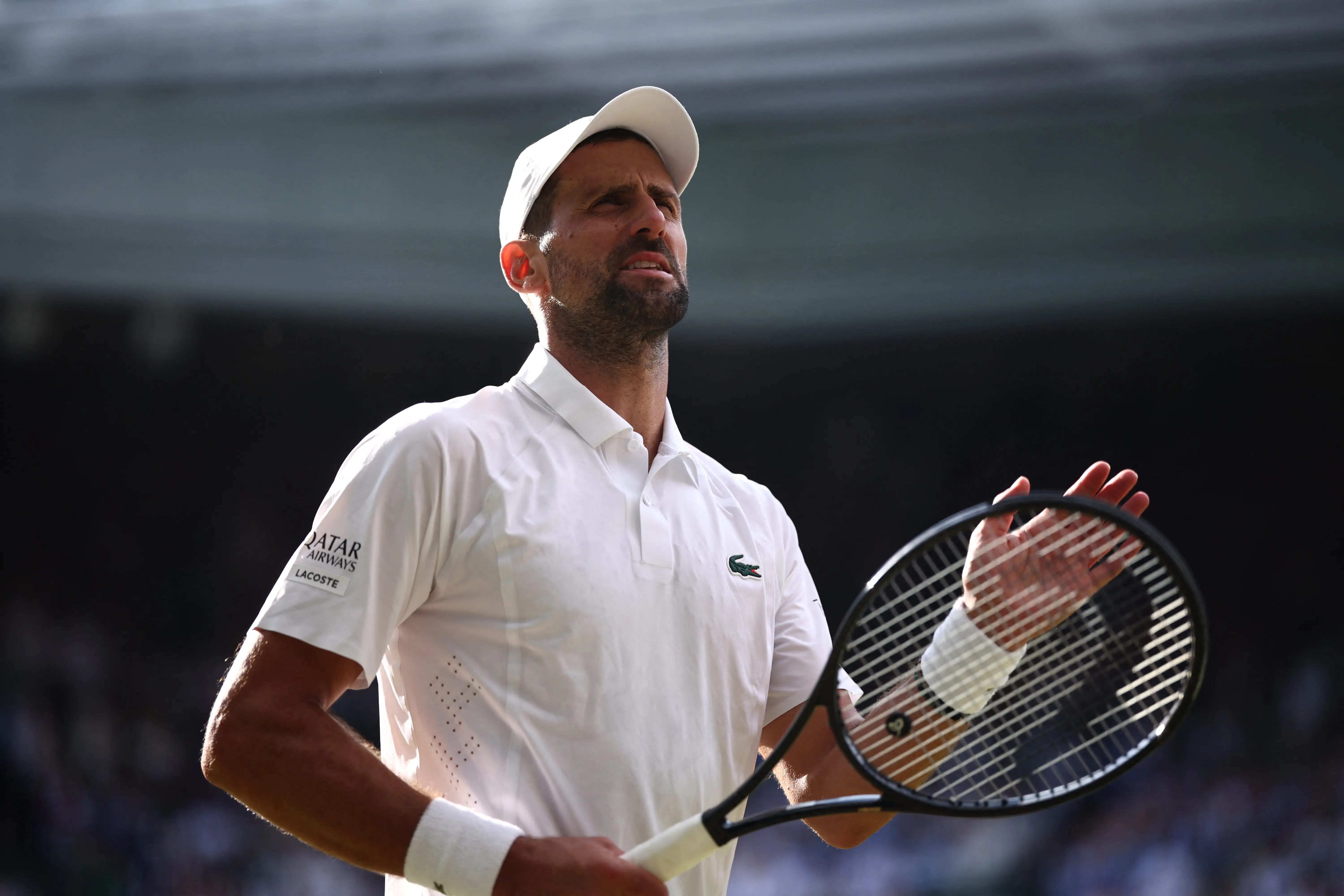 "O Lobo no Inverno": trailer do documentário de Novak Djokovic é divulgado