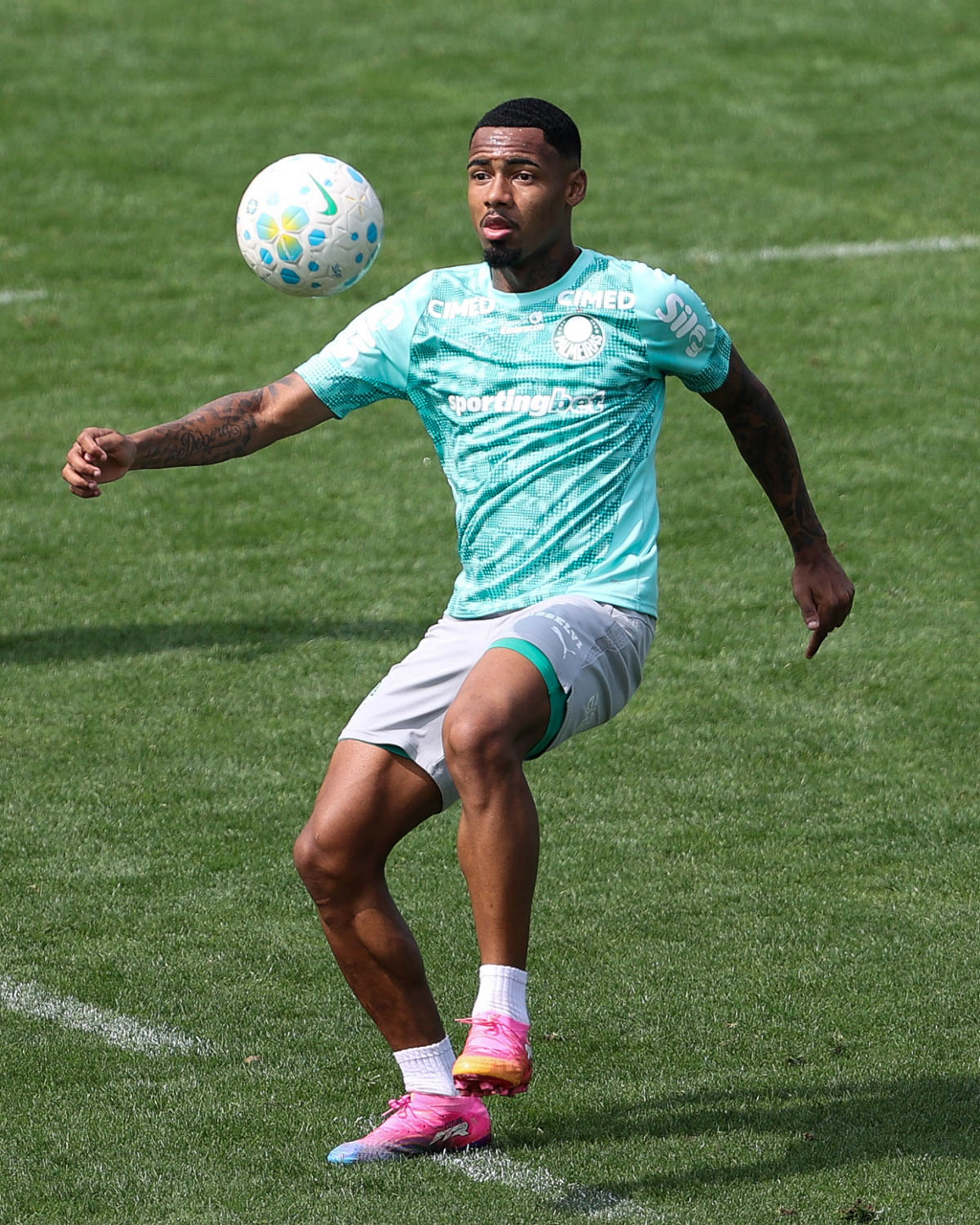 Allan aponta necessidade de ajustes e confia em evolução do Palmeiras em meio à oscilação