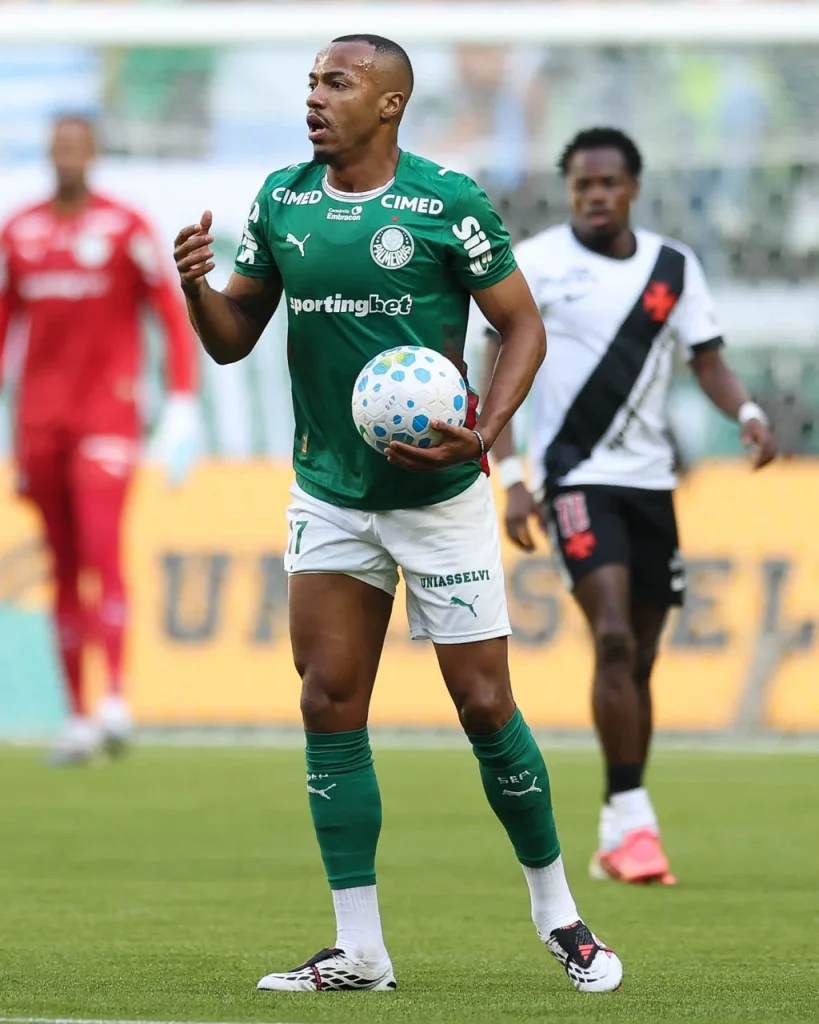 Palmeiras x Vasco: veja fotos do jogo pela 24ª rodada do Brasileirão