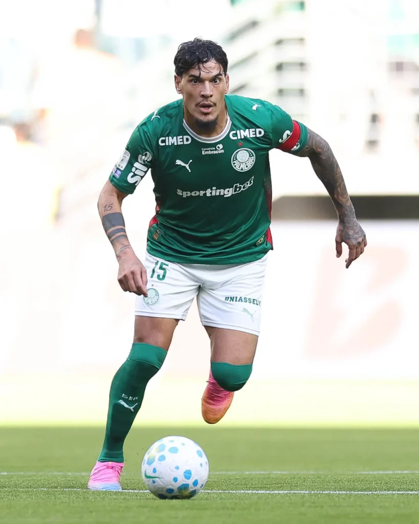 Palmeiras x Vasco: veja fotos do jogo pela 24ª rodada do Brasileirão