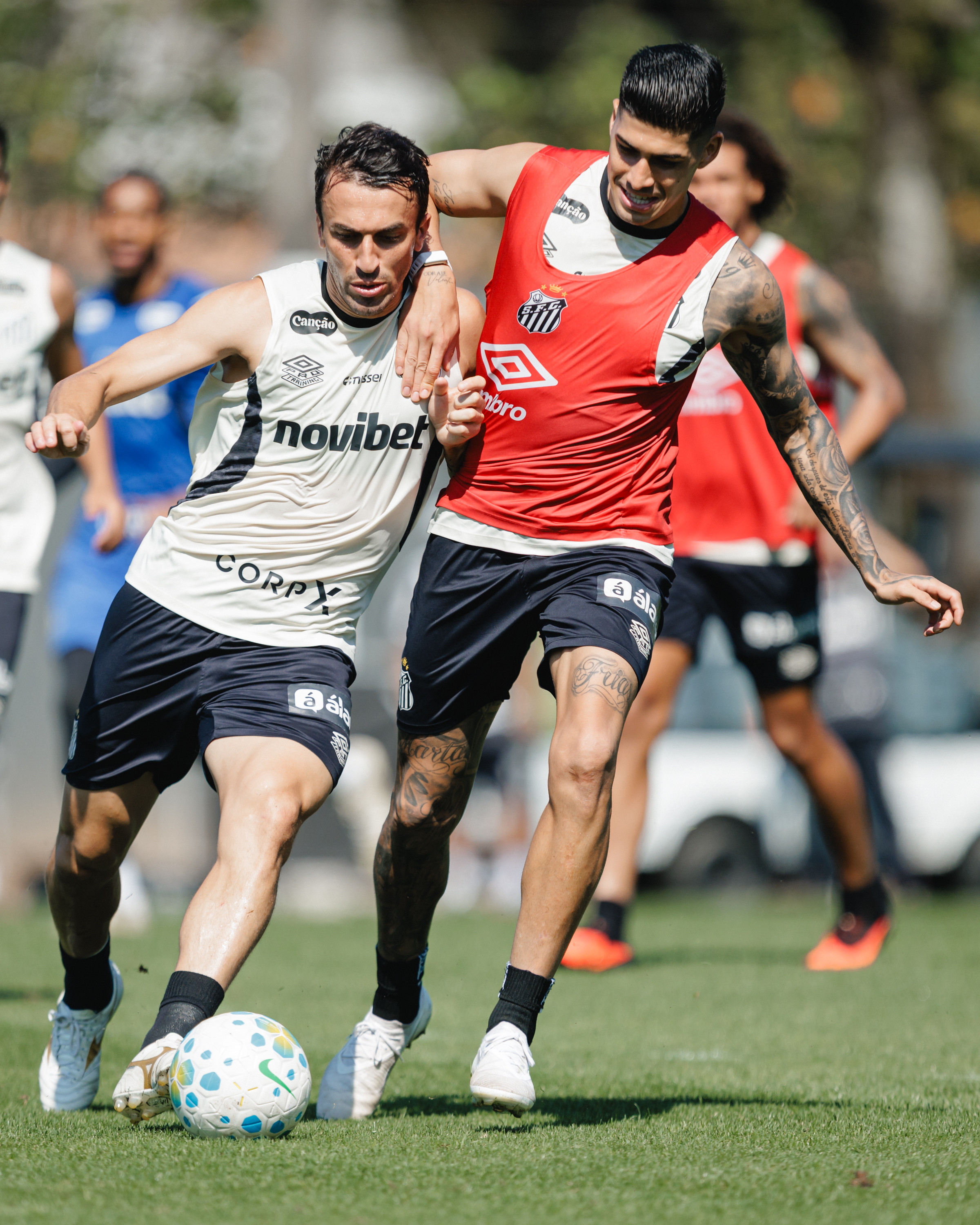 Veja fotos do último treino do Santos antes de enfrentar o Athletico-PR