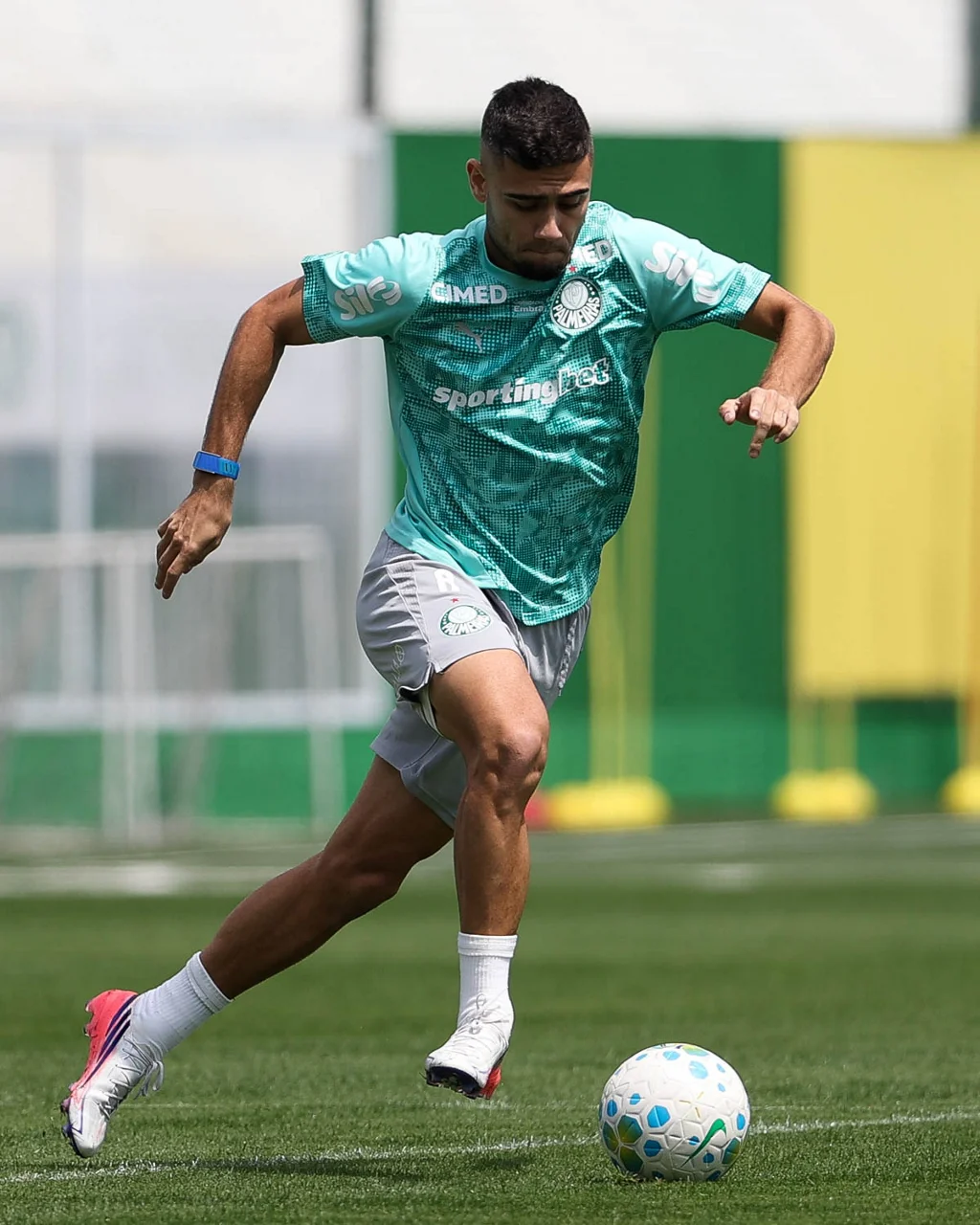 Veja fotos do treino do Palmeiras deste sábado
