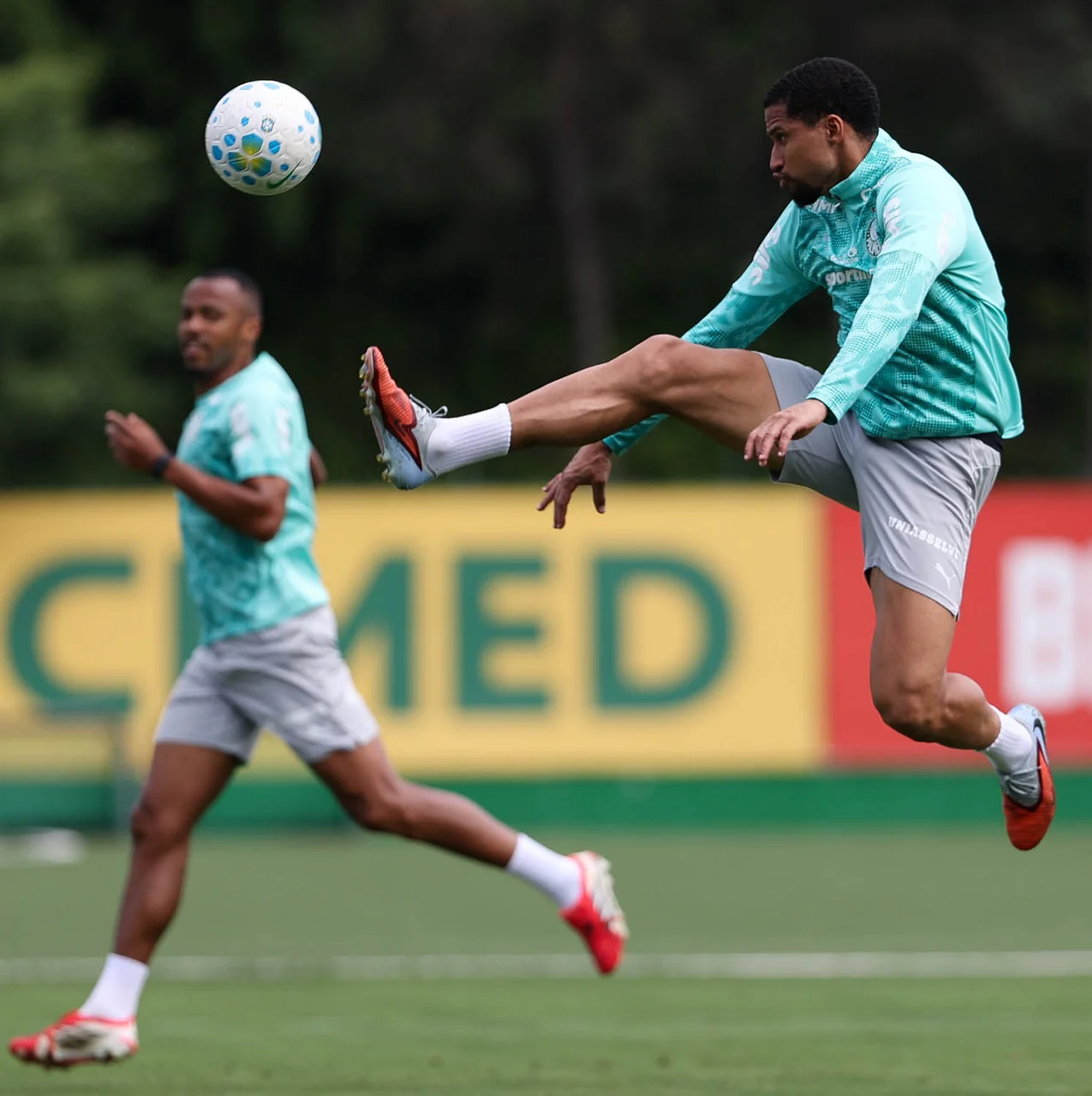 Palmeiras segue em preparação para jogo contra o Bahia