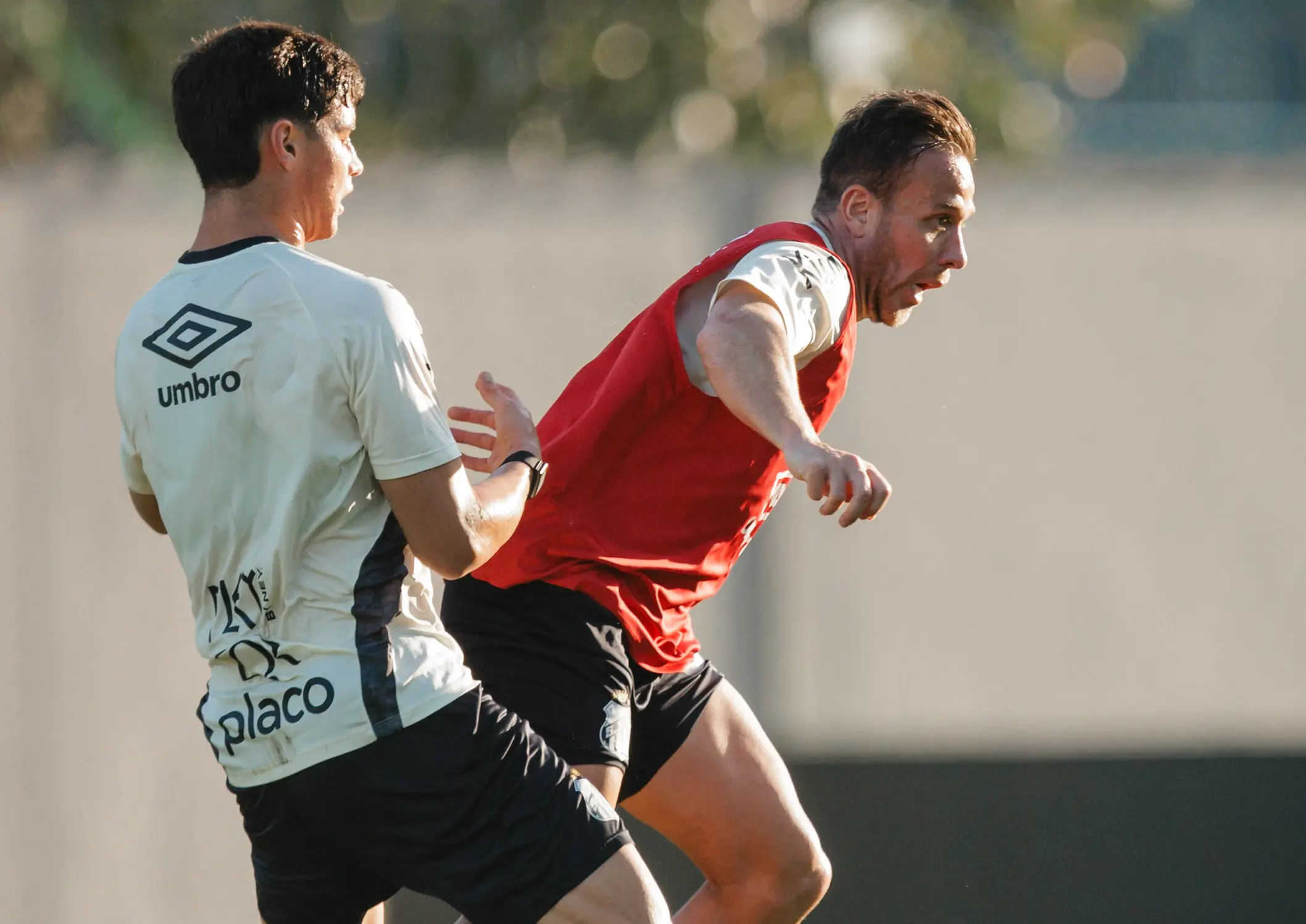 Veja fotos do treino do Santos nesta quinta-feira