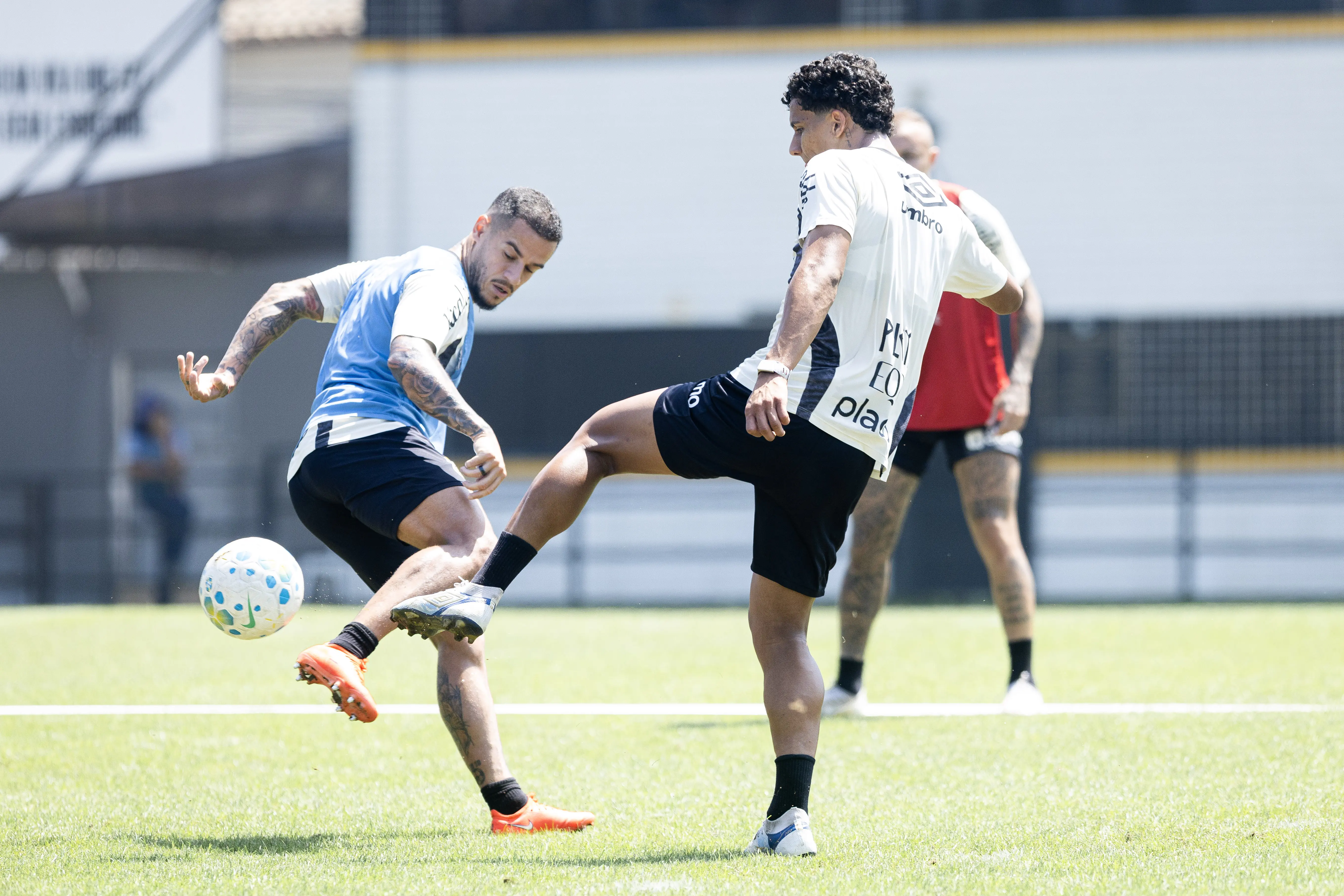 Veja fotos do treino do Santos neste sábado