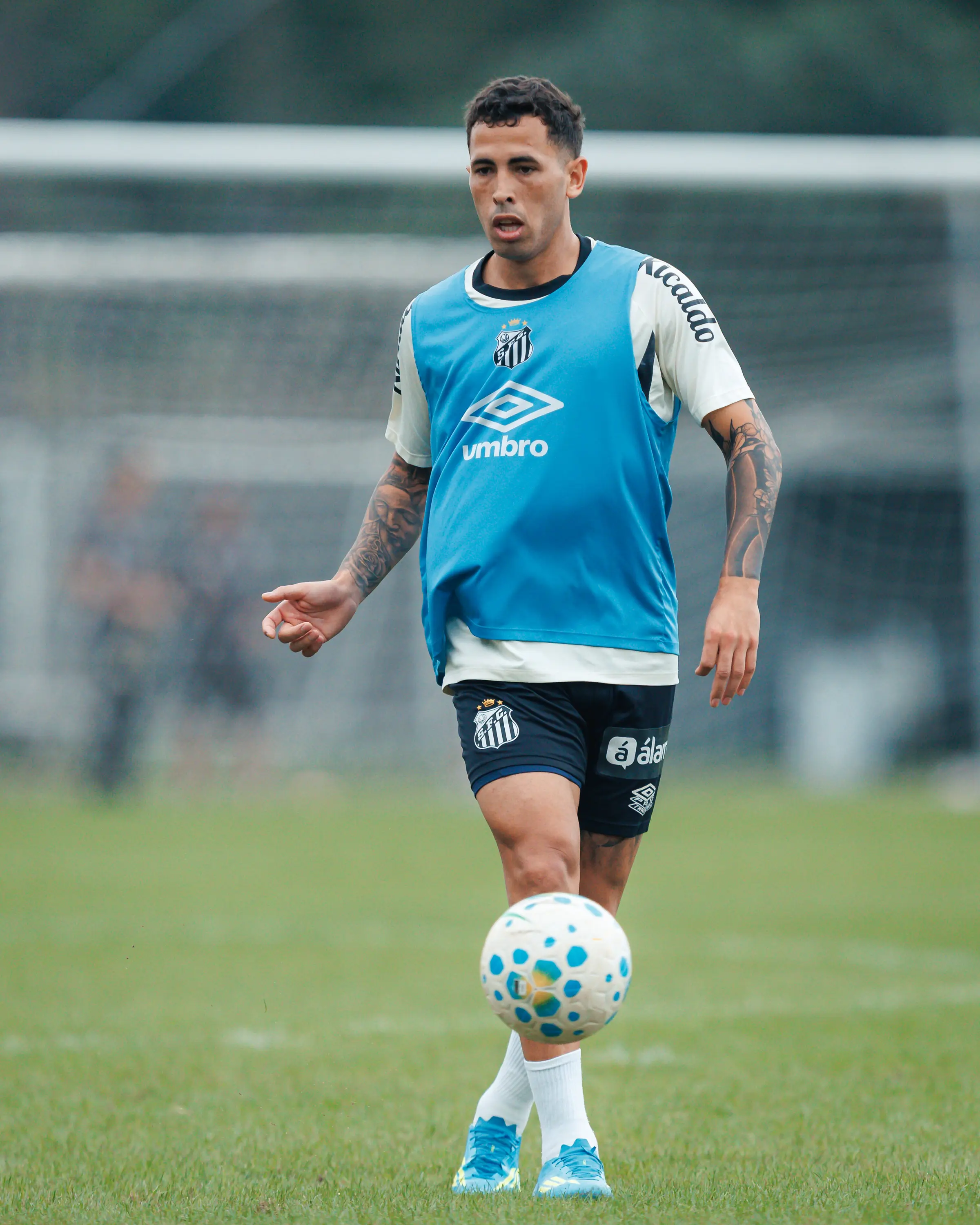 Treino do Santos: confira fotos da atividade desta terça-feira no CT Rei Pelé