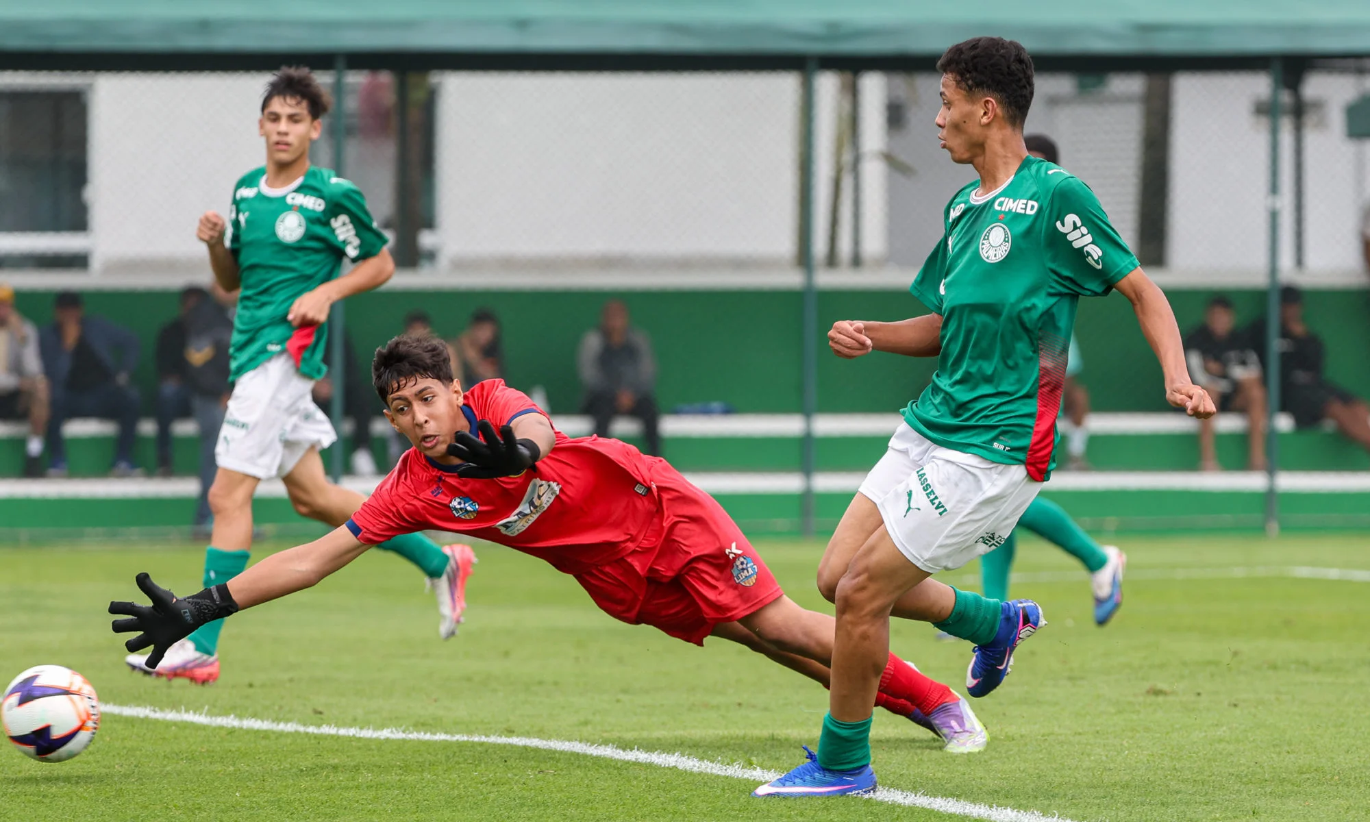 Sub-17 do Palmeiras goleia LG Futebol Clube e fecha a segunda fase do Paulista na liderança