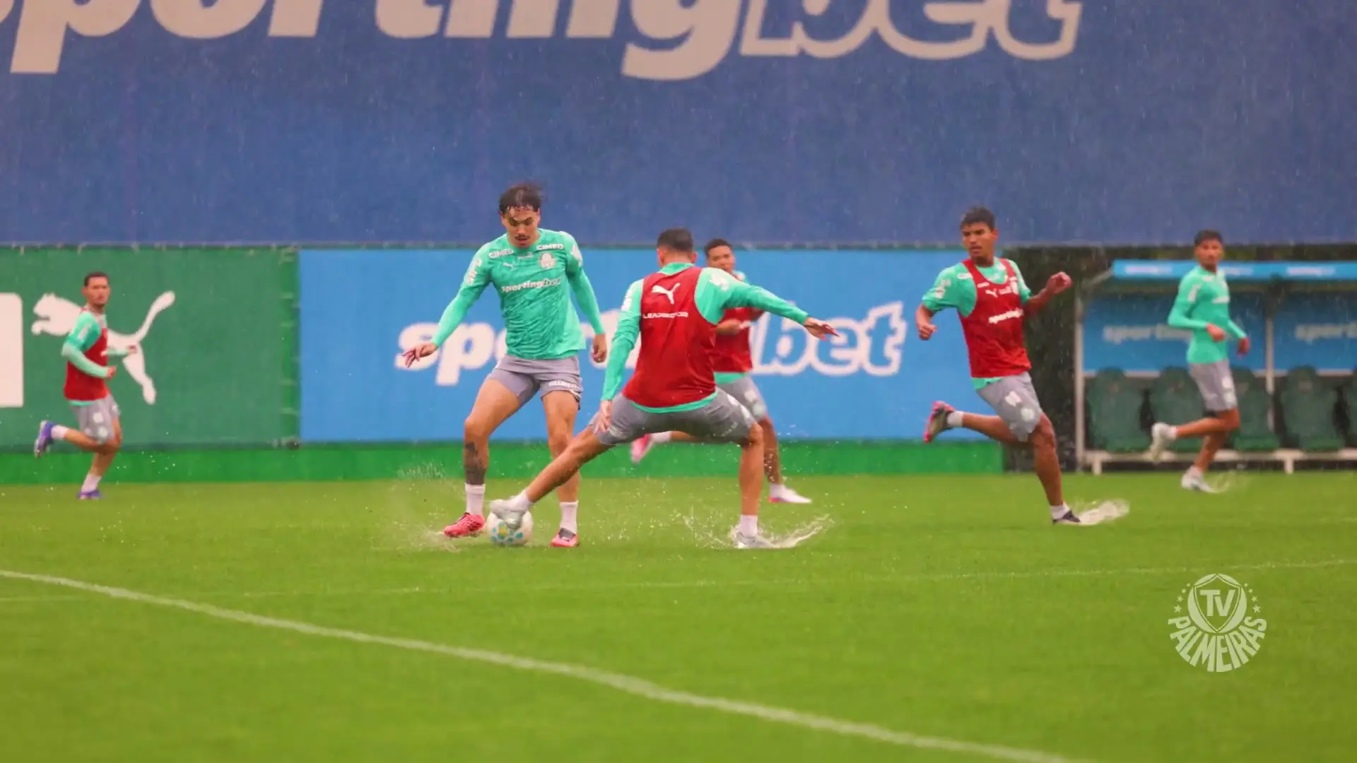 Palmeiras se reapresenta e inicia preparação para o Choque-Rei