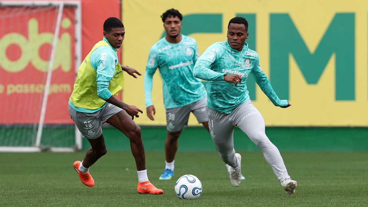 Palmeiras se reapresenta e foca na partida contra LDU
