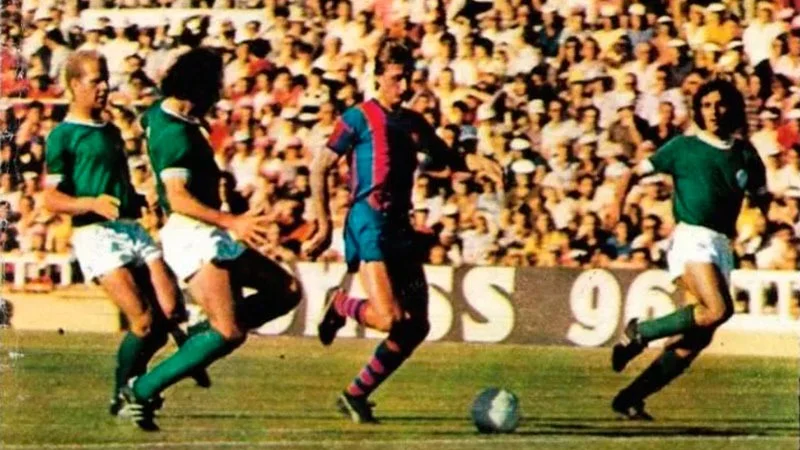 Palmeiras