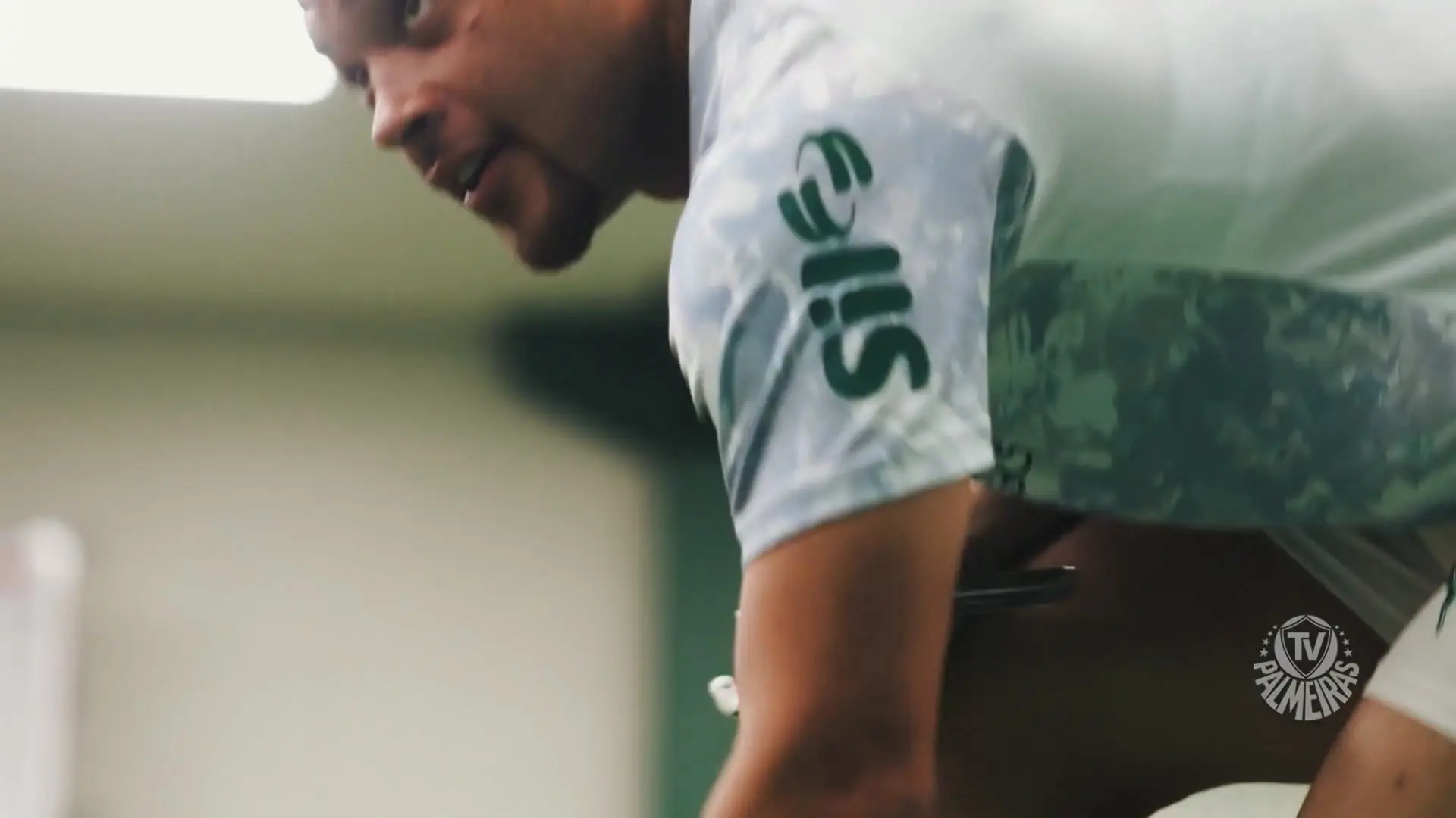 Bastidores da vitória do Palmeiras contra o São Paulo pelo Brasileirão