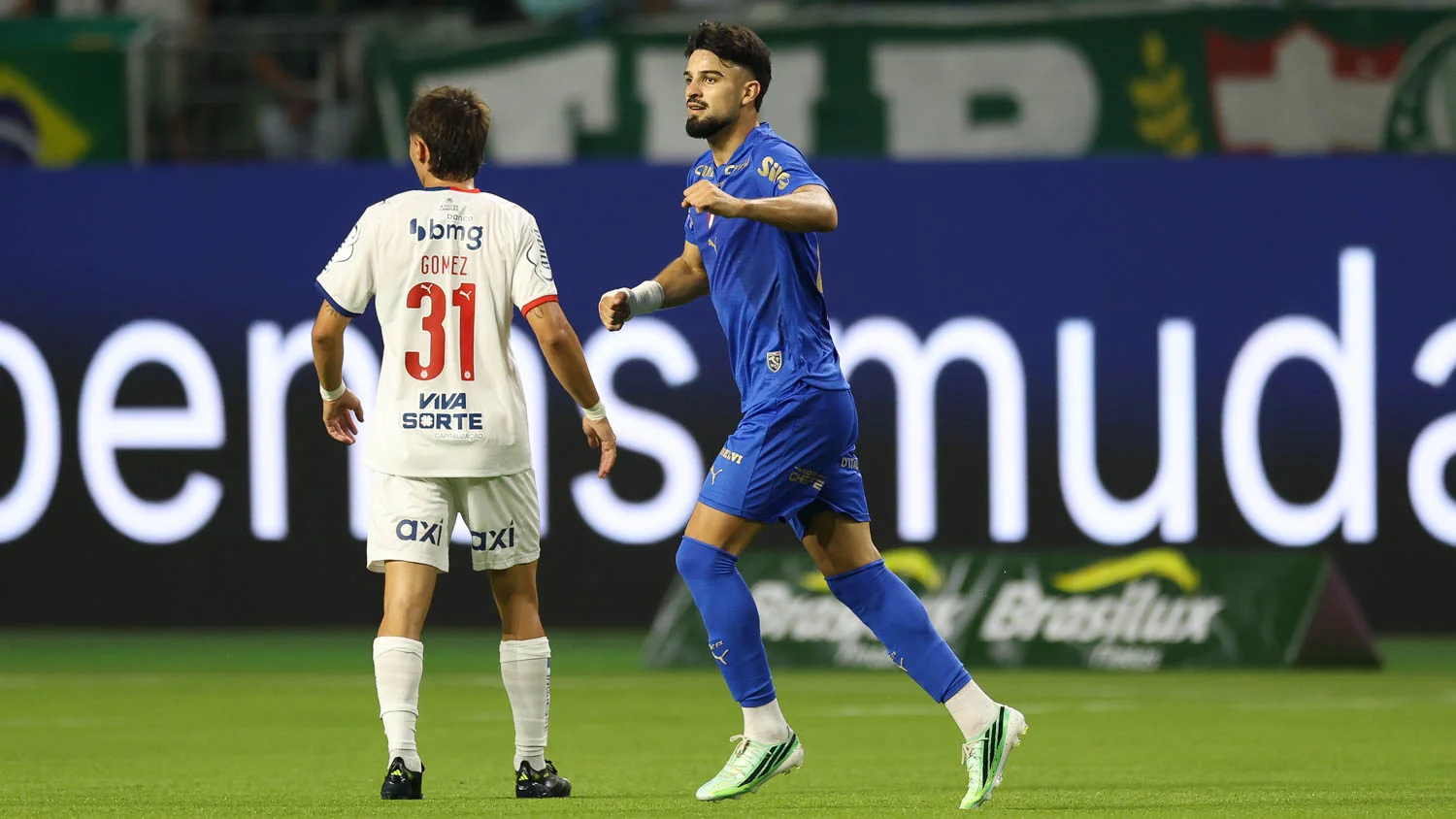 Palmeiras x Bahia: veja fotos do jogo da 29ª rodada do Brasileirão