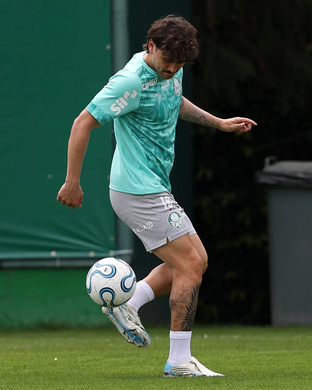 Palmeiras se reapresenta e Maurício projeta semifinal em casa