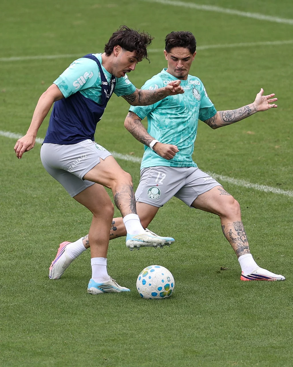 Confira fotos do treino do Palmeiras desta quinta-feira