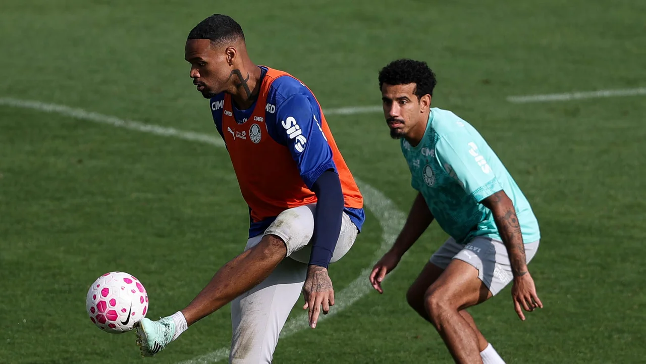 Veja fotos do último treino do Palmeiras antes de enfrentar o Santos