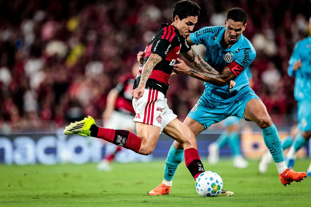 Santos x Flamengo pelo Brasileirão: onde assistir ao vivo, estatísticas e prováveis escalações
