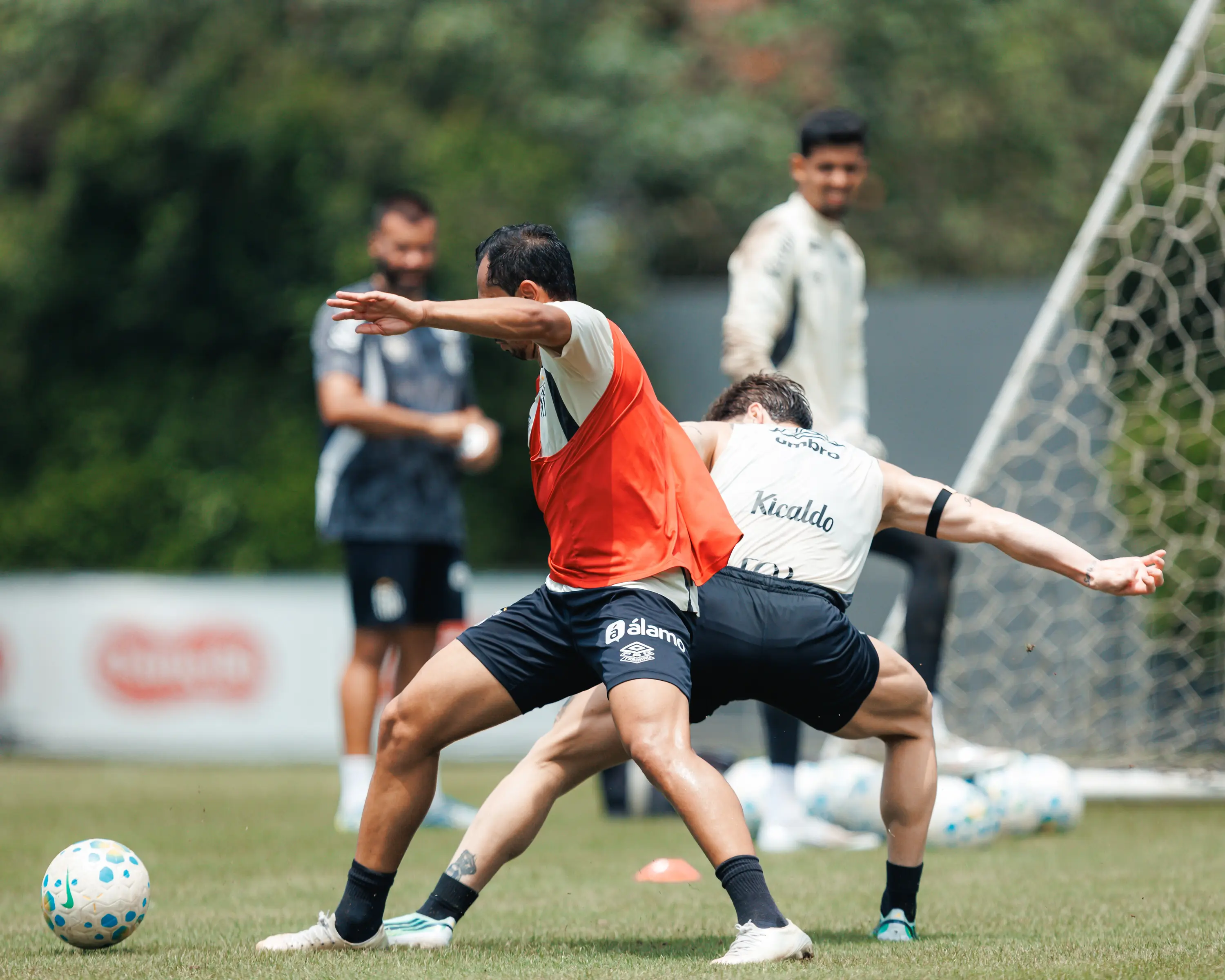 Treino do Santos: veja fotos da reapresentação do elenco após o empate contra o Flamengo