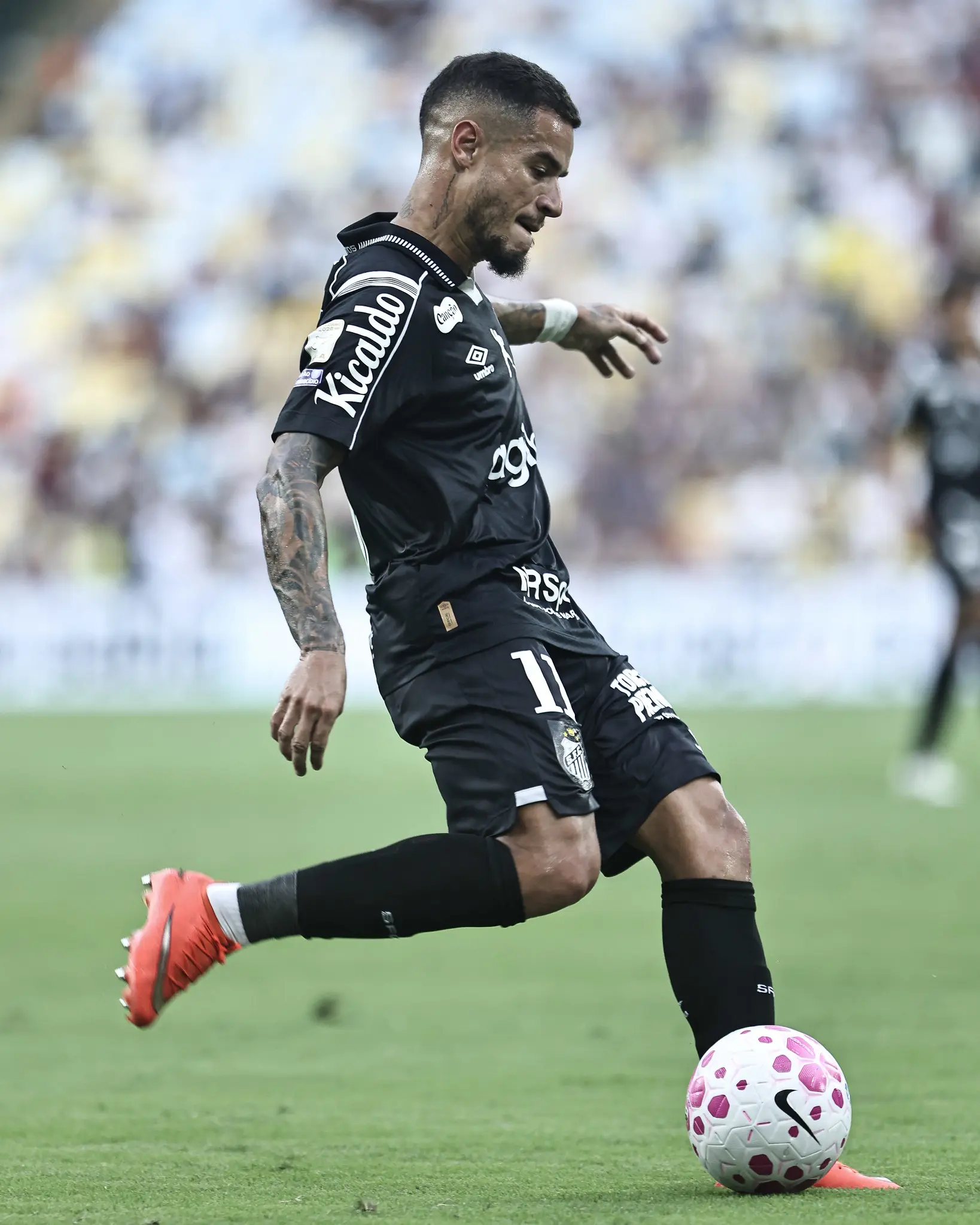 Imagem ilustrativa para a matéria